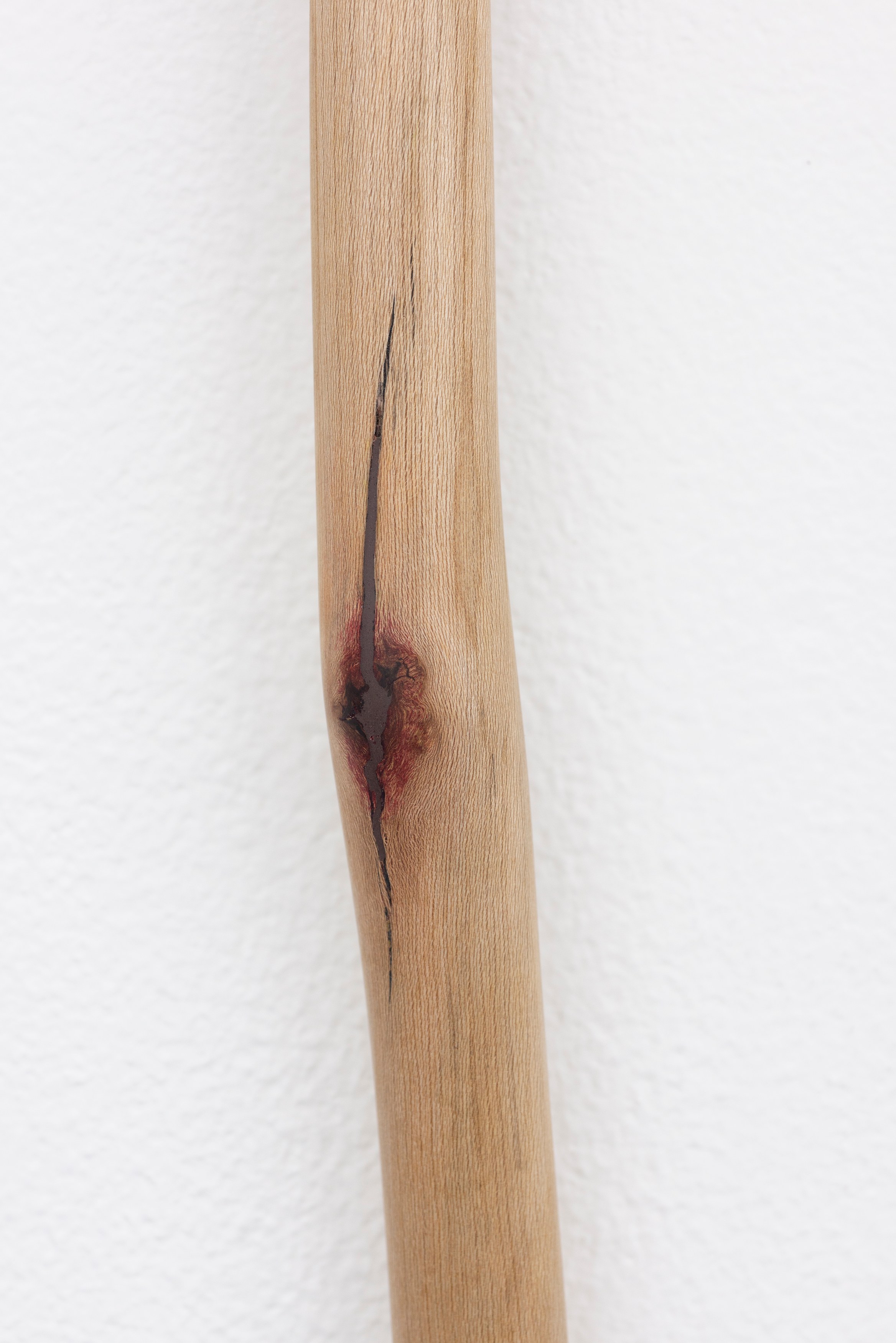 Naoki Sutter-Shudo, Don pur de la nature at Derosia, photo 27