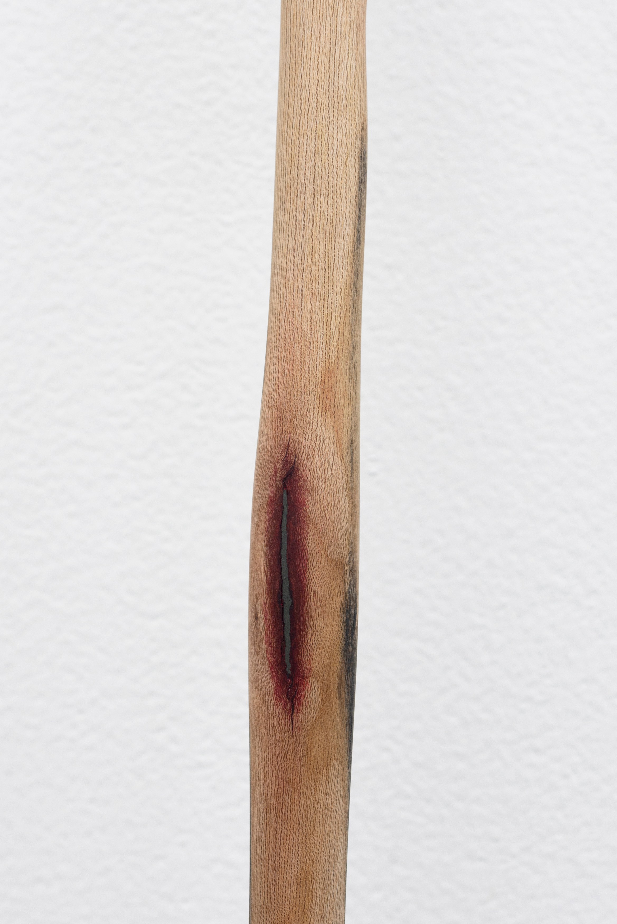 Naoki Sutter-Shudo, Don pur de la nature at Derosia, photo 29