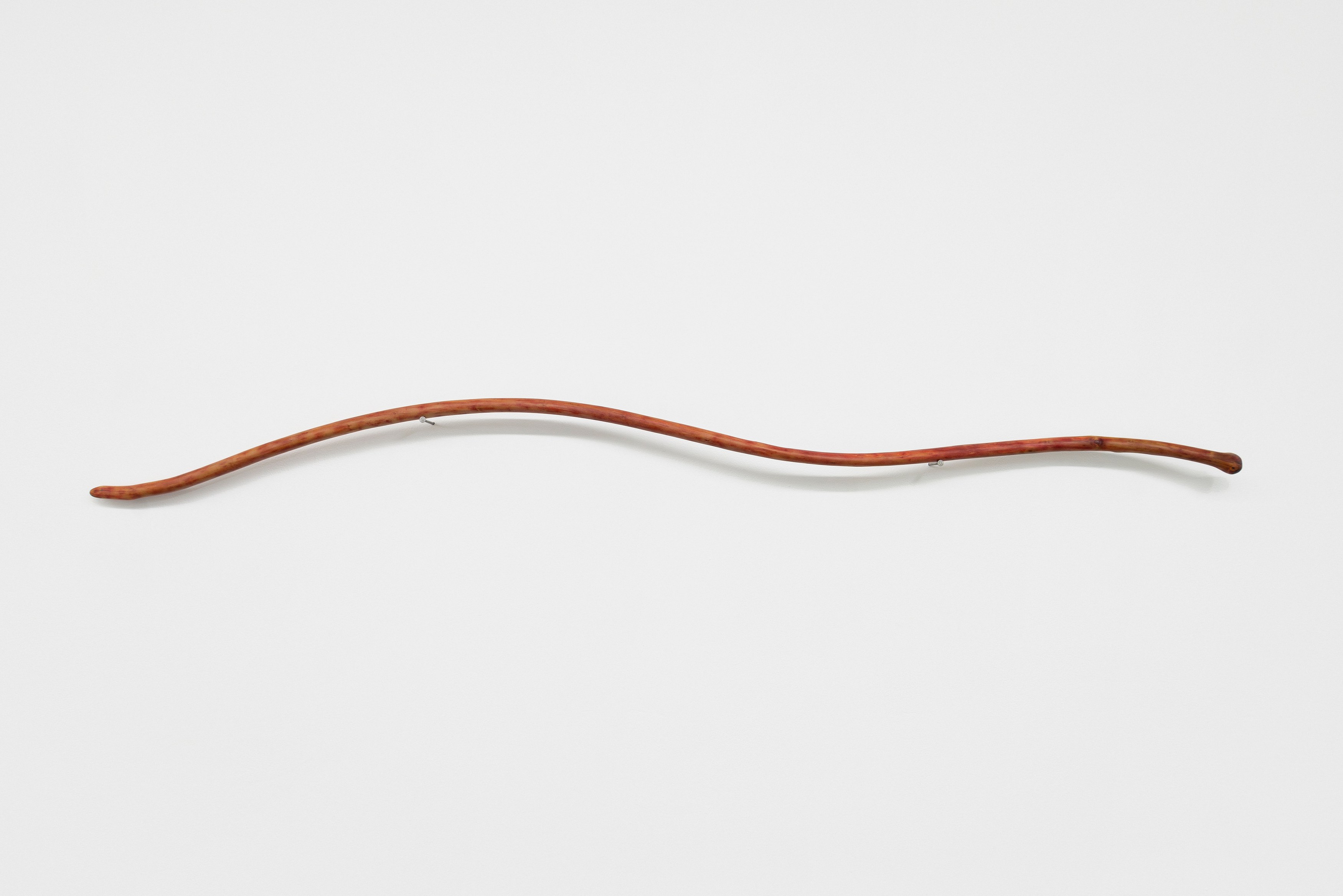 Naoki Sutter-Shudo, Don pur de la nature at Derosia, photo 30