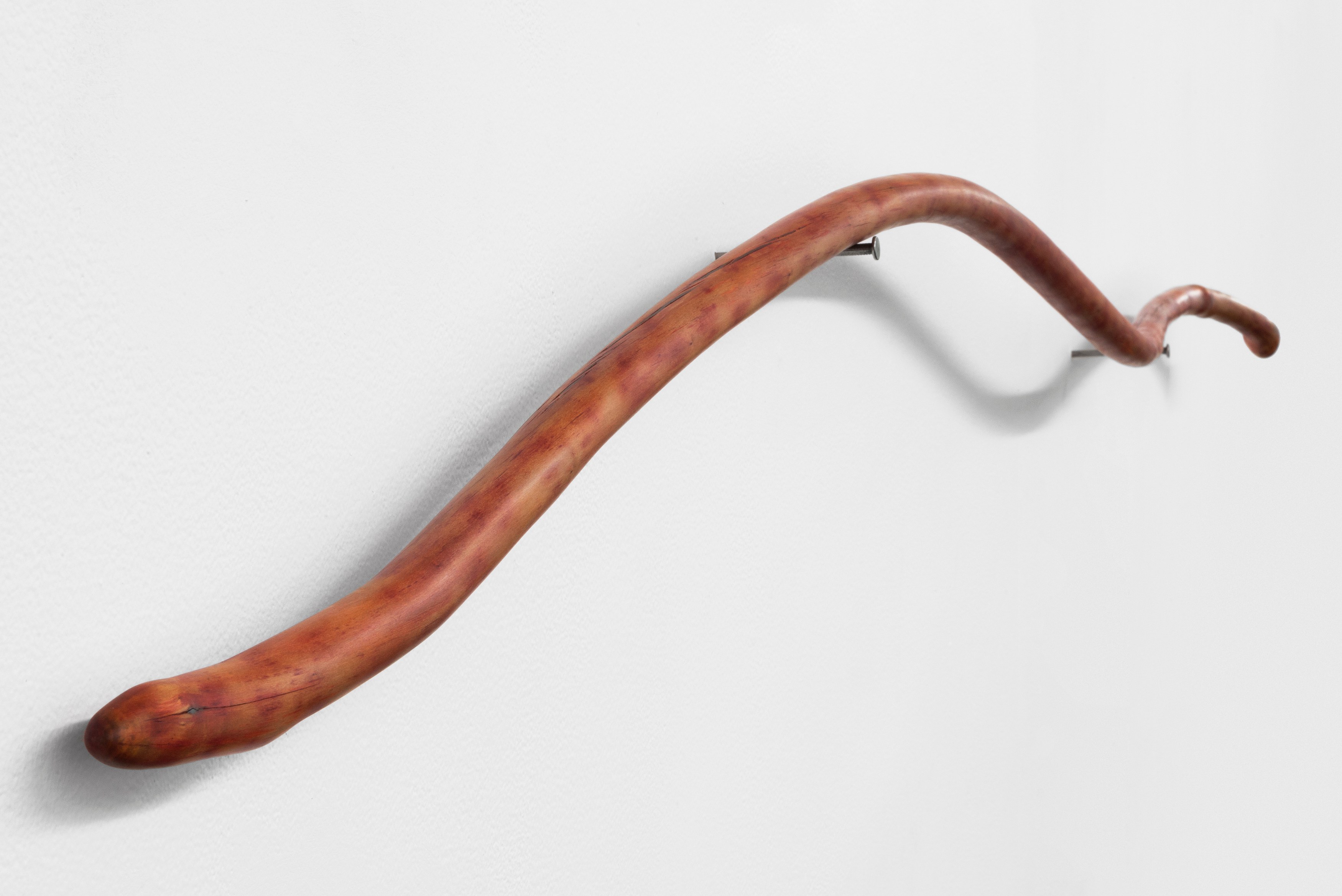 Naoki Sutter-Shudo, Don pur de la nature at Derosia, photo 31
