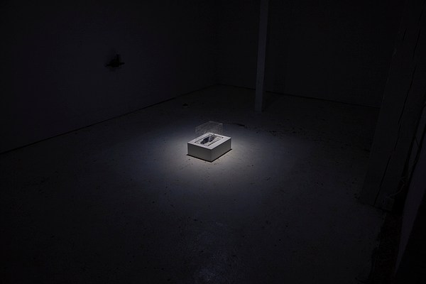 Image 1 of 9
