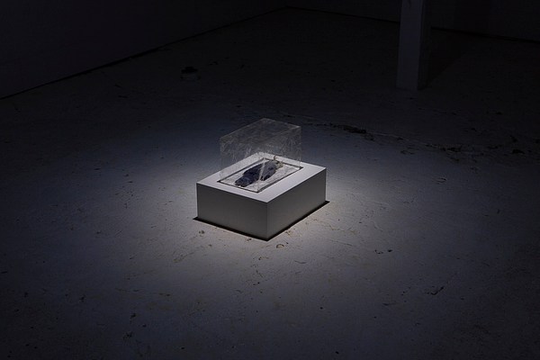Image 2 of 9