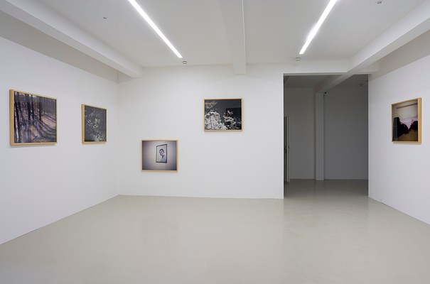Image 4 of 22