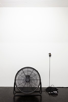 Image 7 of 7