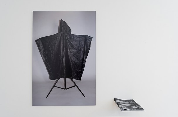 Image 11 of 12