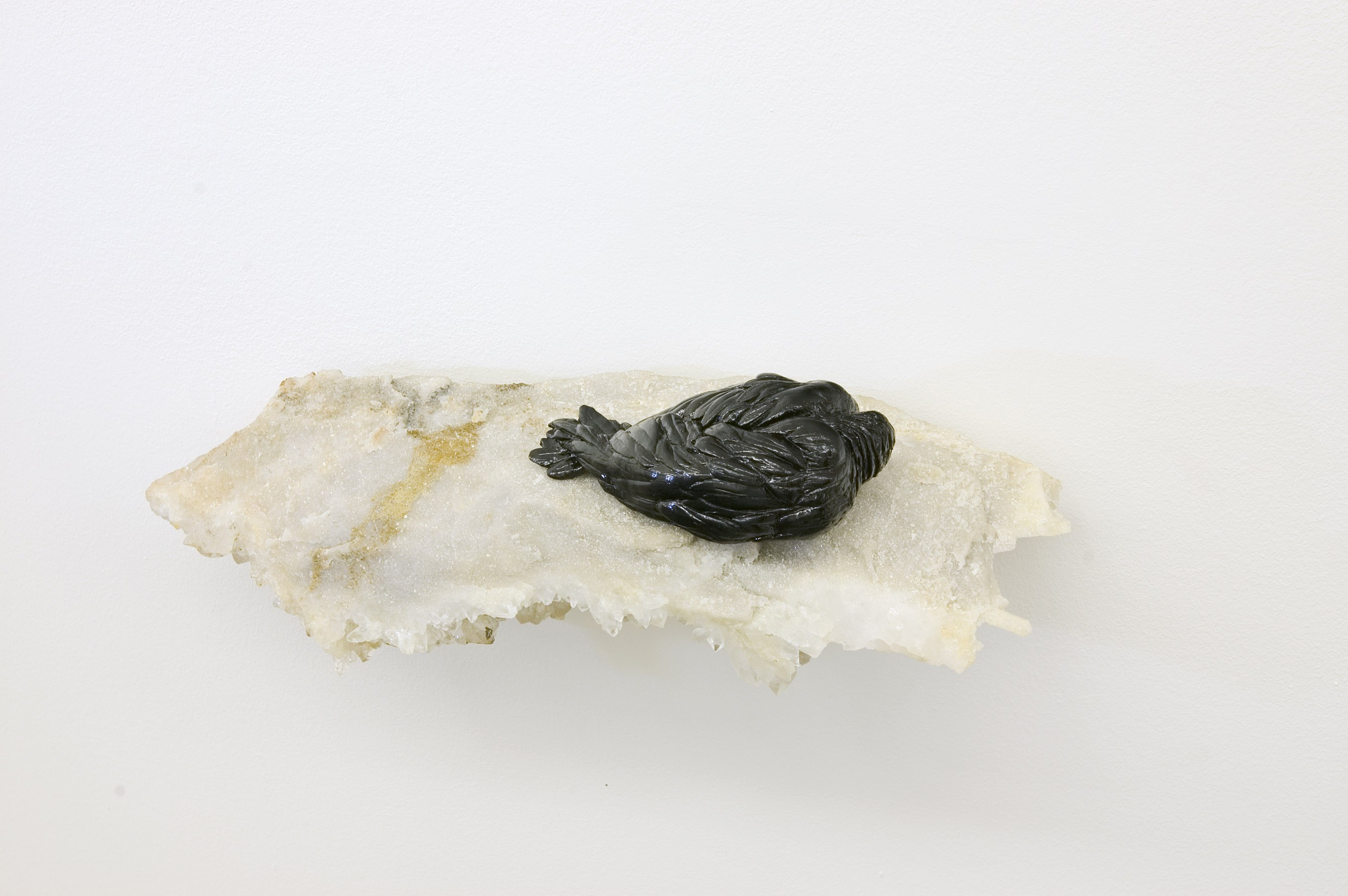 The Black Album, The Black Album at Studio M, photo 12