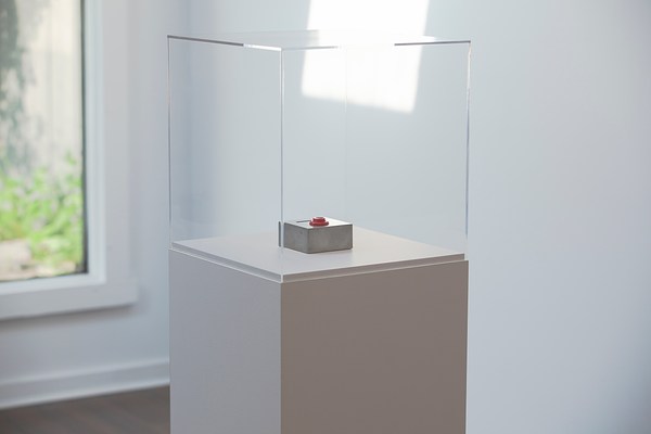 Image 8 of 8