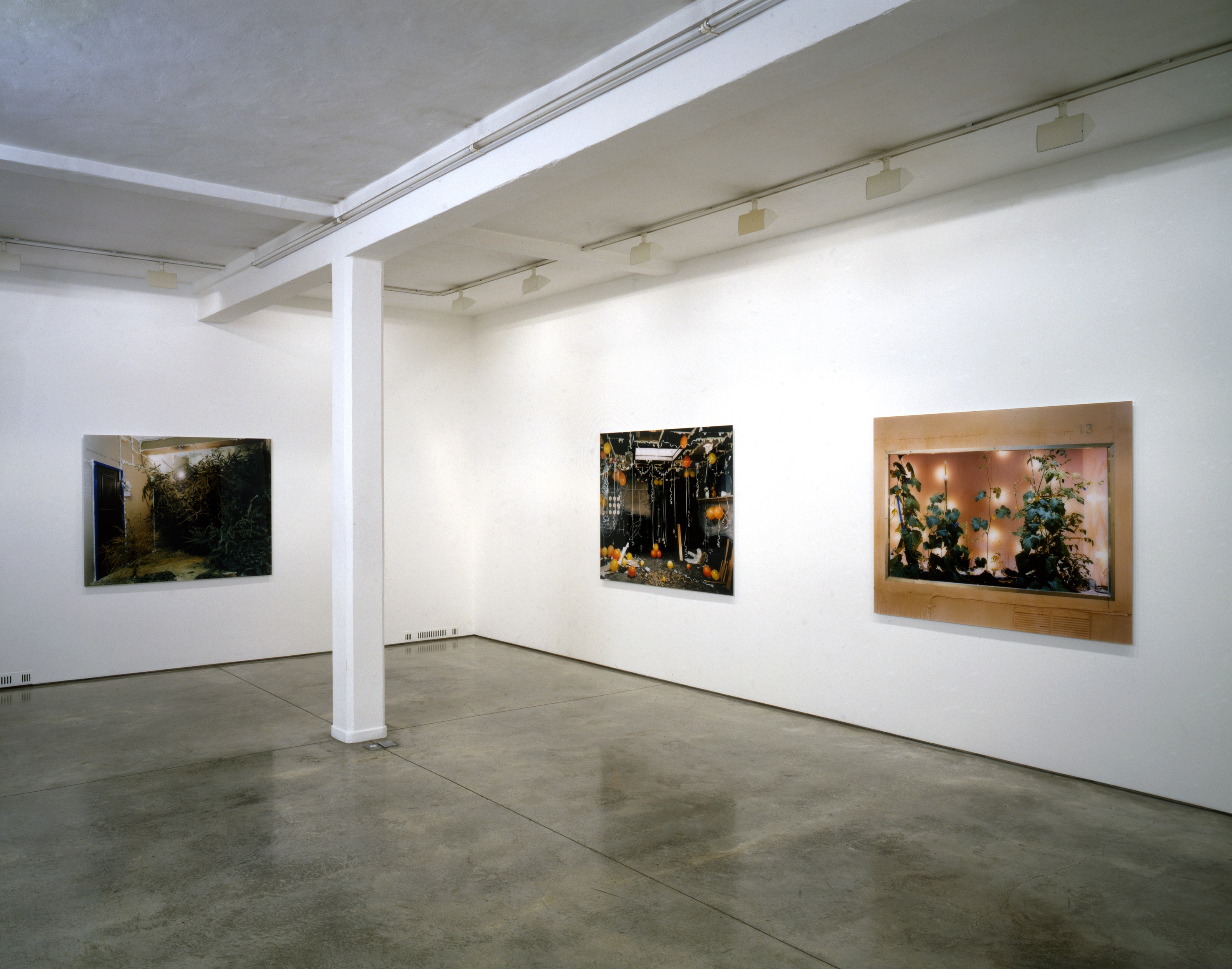 Anne Hardy, Untitled at Studio M, photo 2