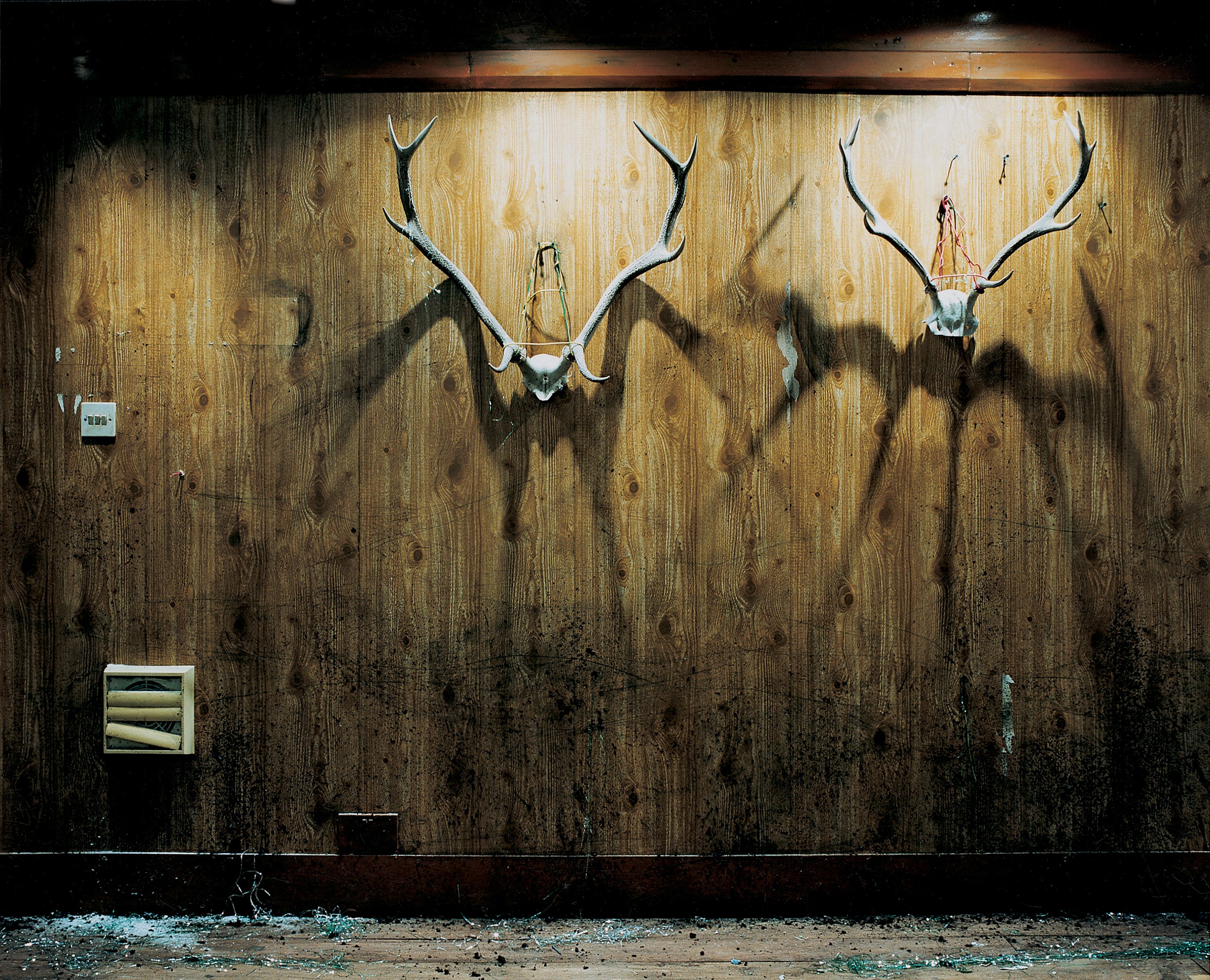 Anne Hardy, Untitled at Studio M, photo 4