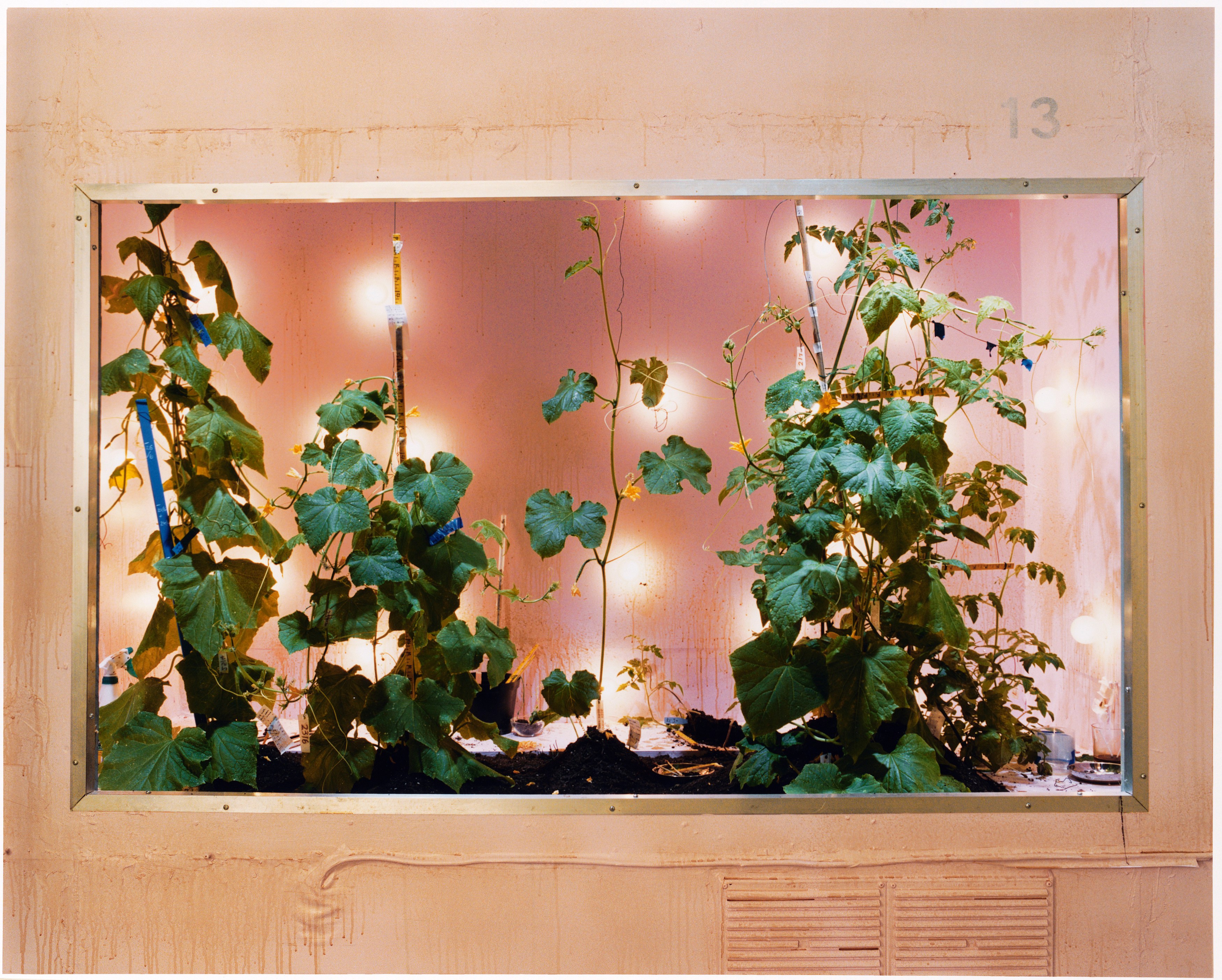Anne Hardy, Untitled at Studio M, photo 7