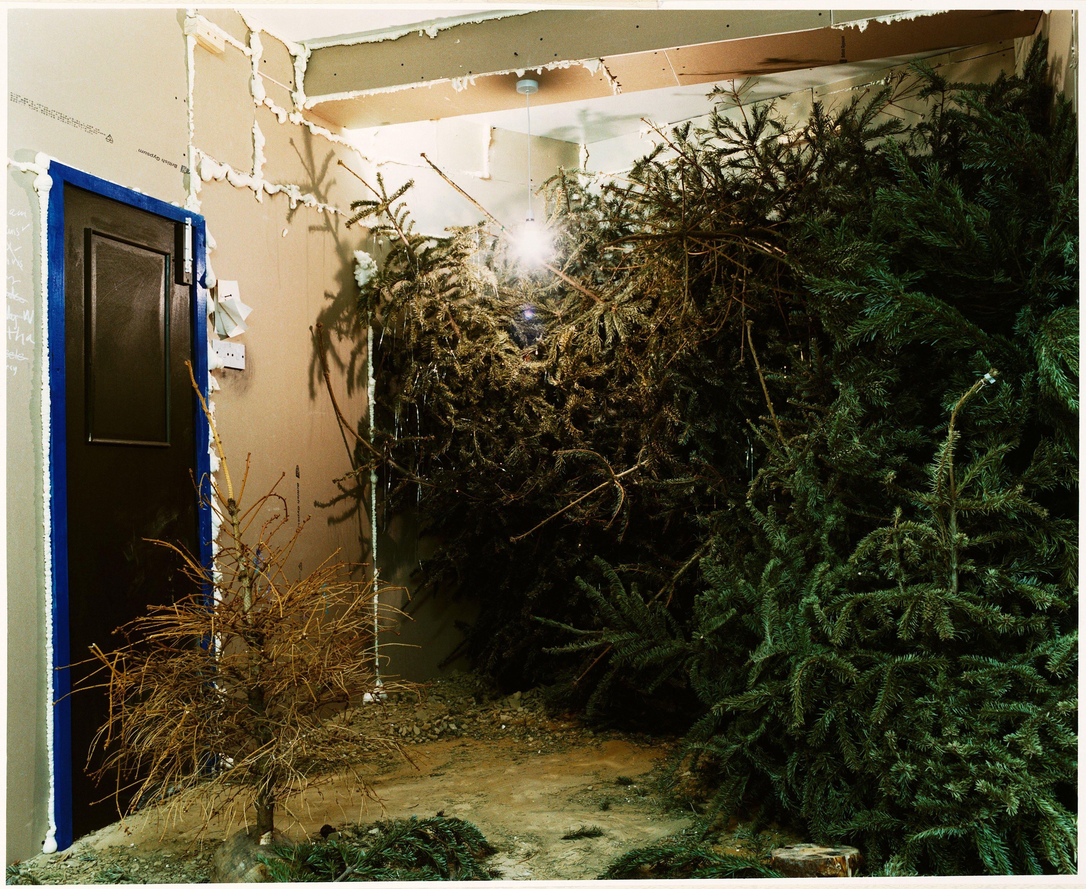 Anne Hardy, Untitled at Studio M, photo 5