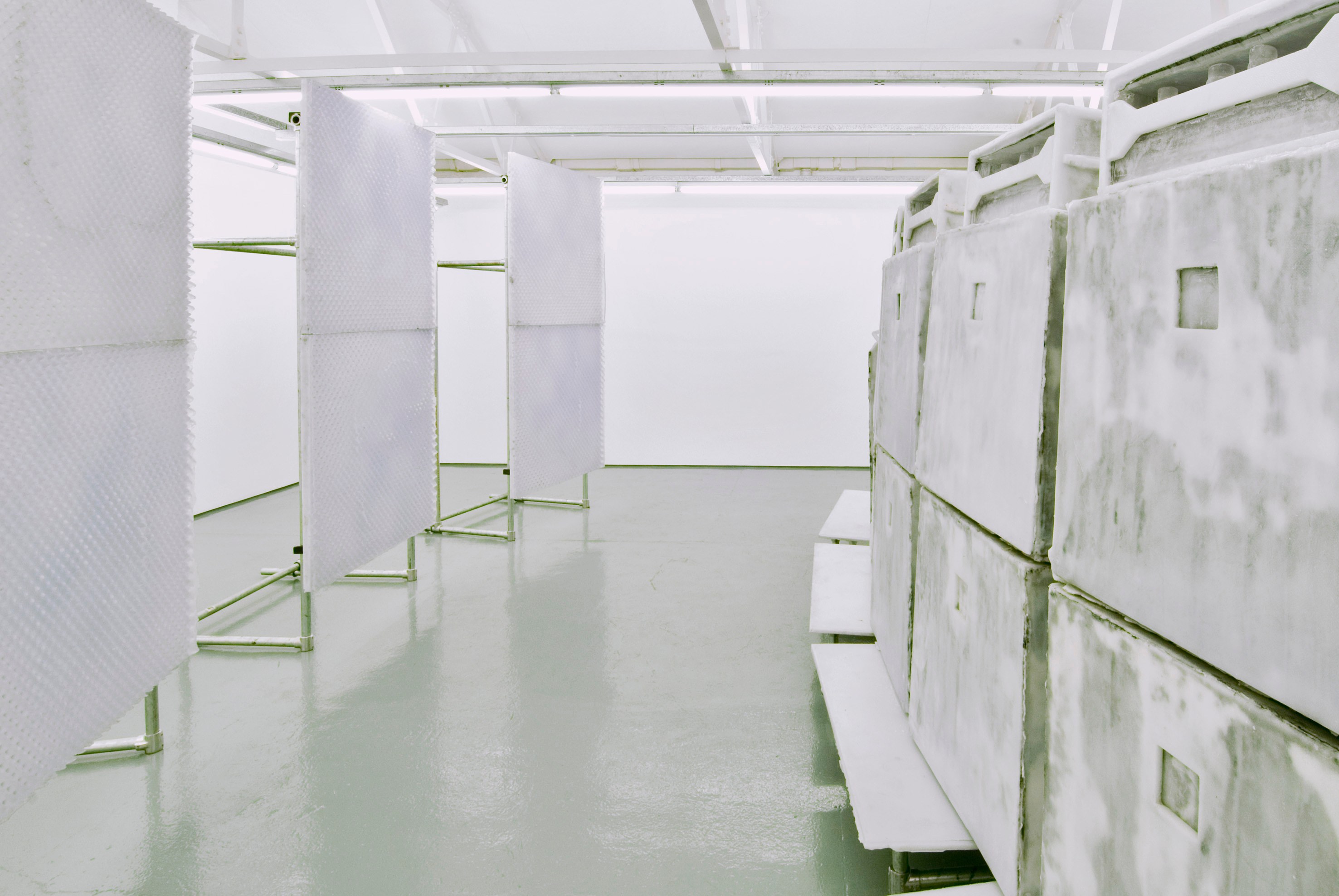 Banks Violette, Untitled at Studio M, photo 6