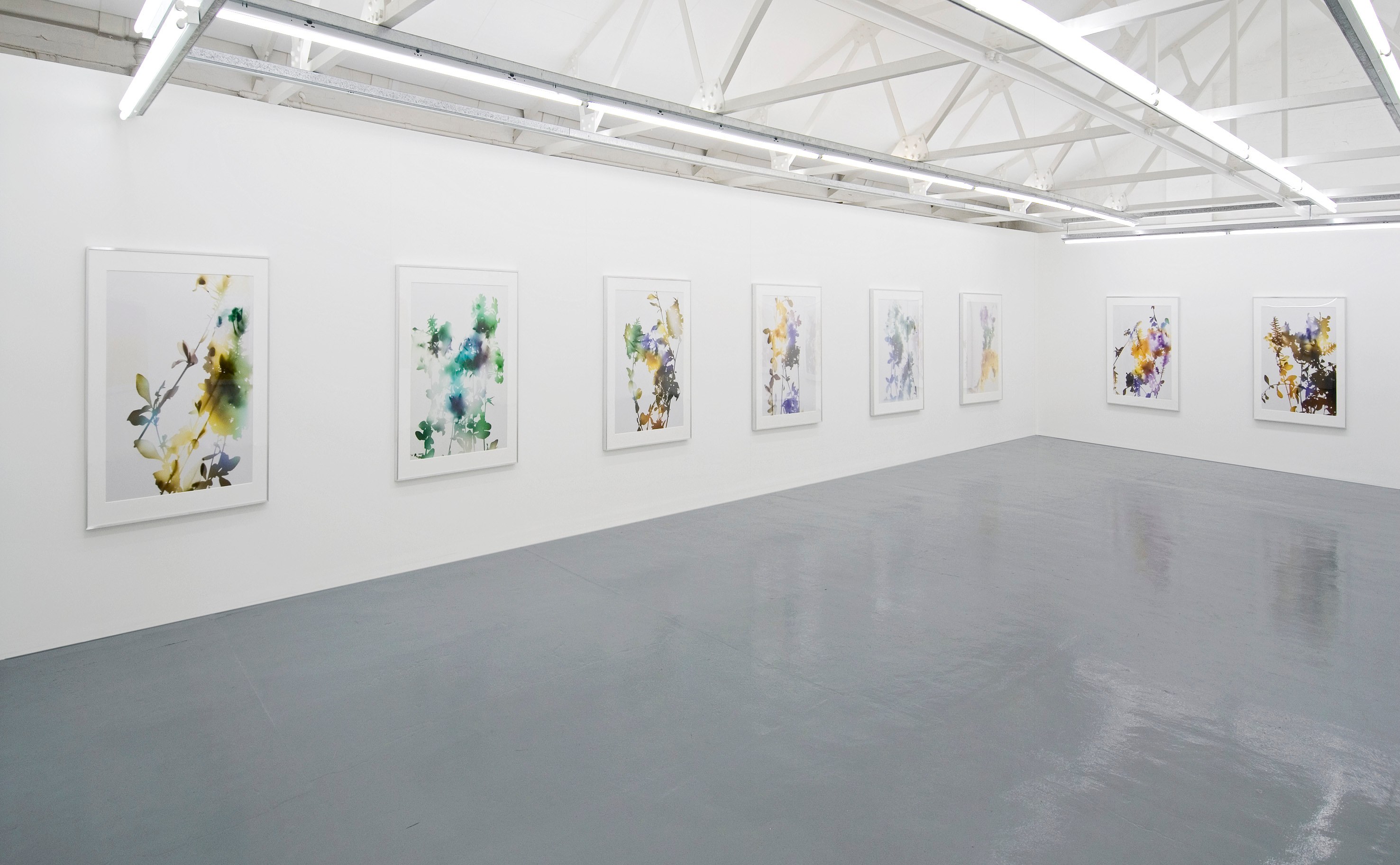 James Welling, Untitled at Studio M, photo 4