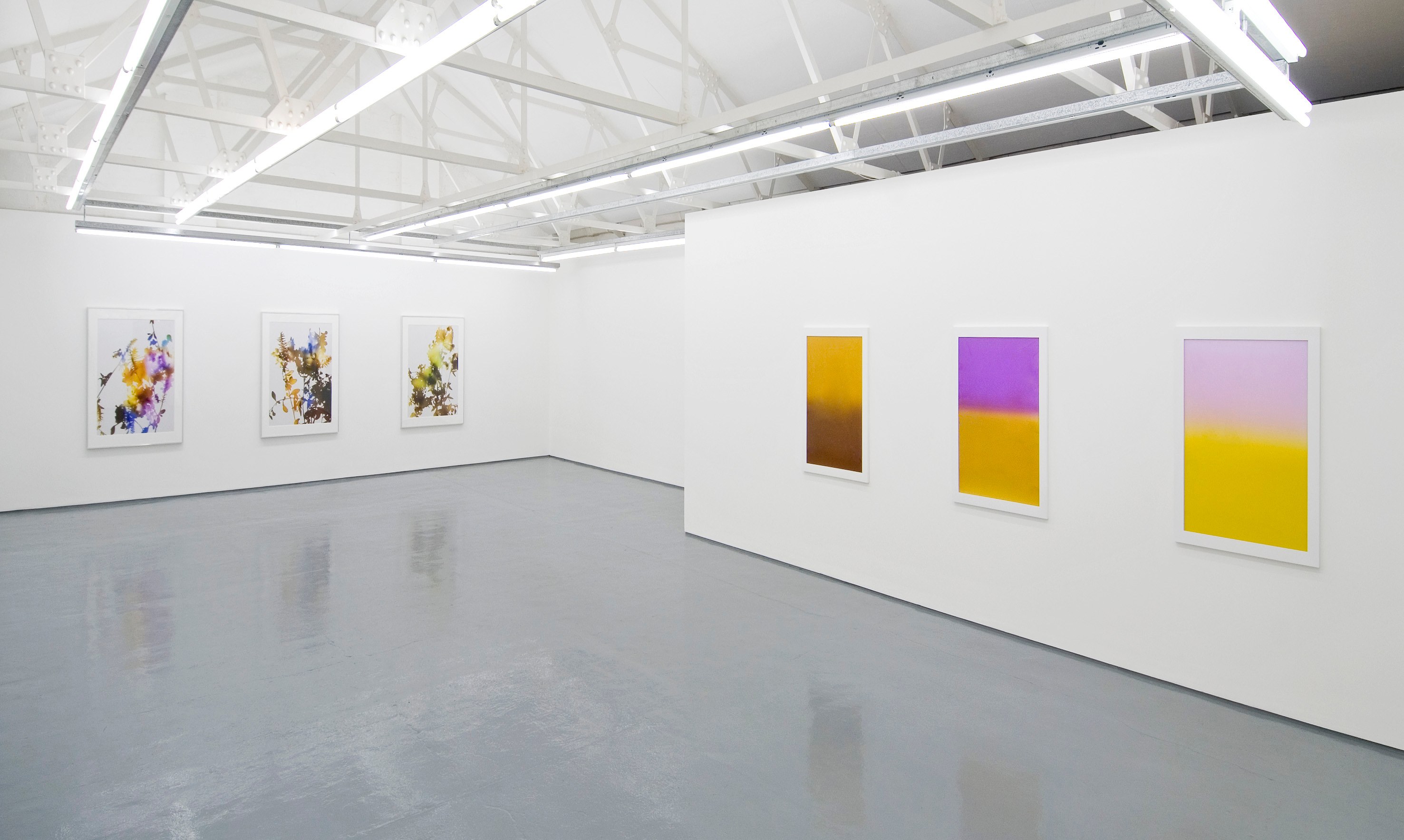 James Welling, Untitled at Studio M, photo 5