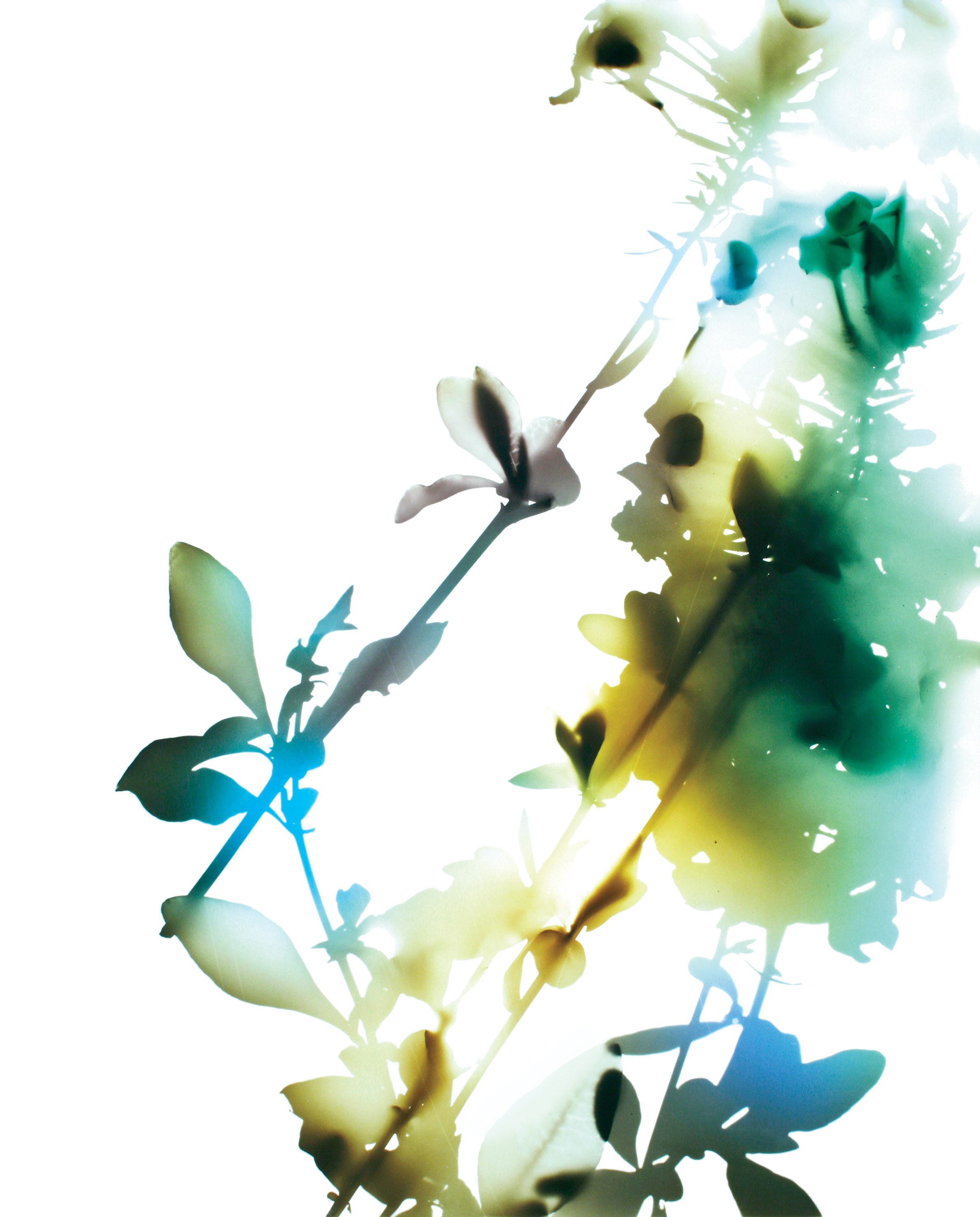James Welling, Untitled at Studio M, photo 19