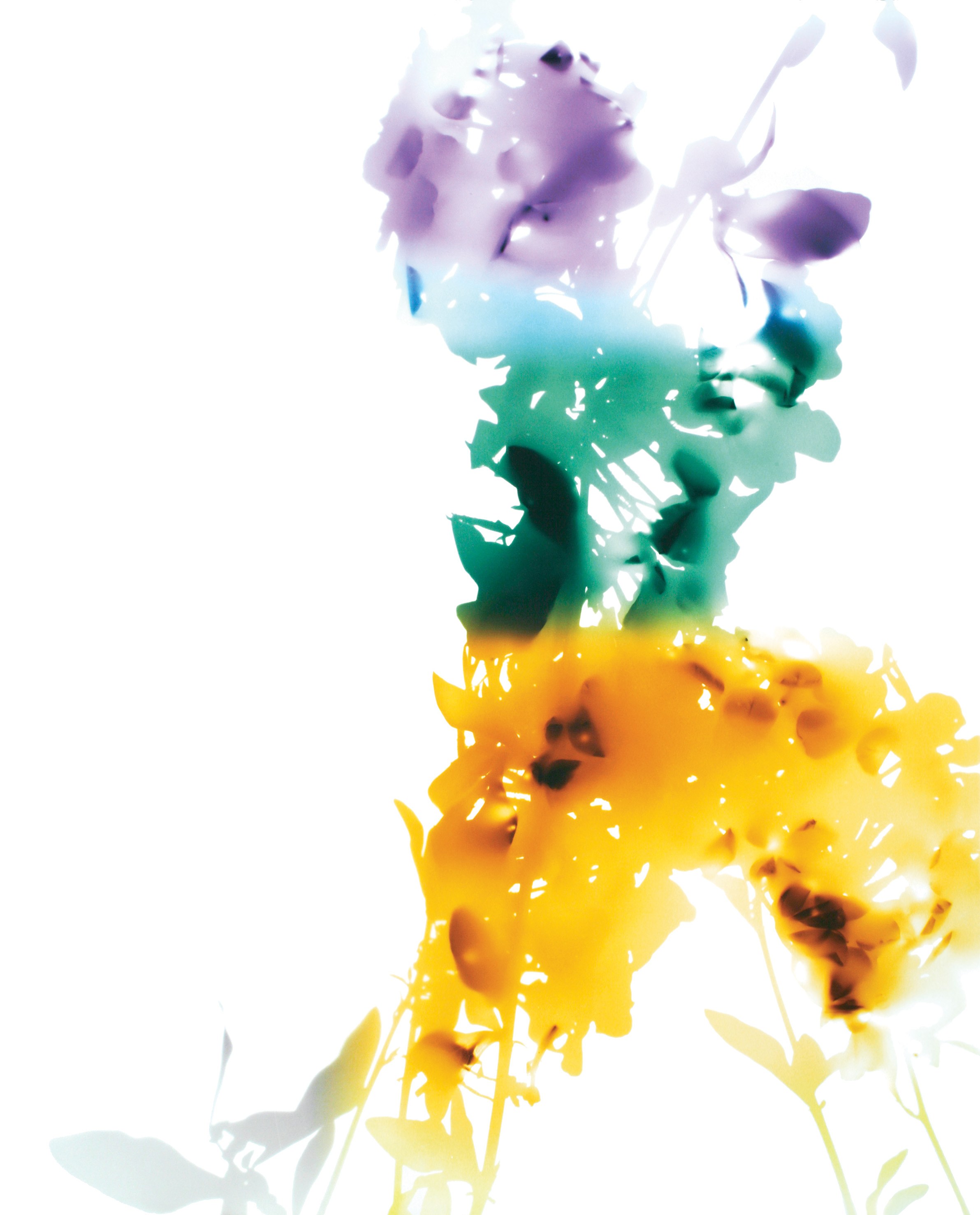 James Welling, Untitled at Studio M, photo 18