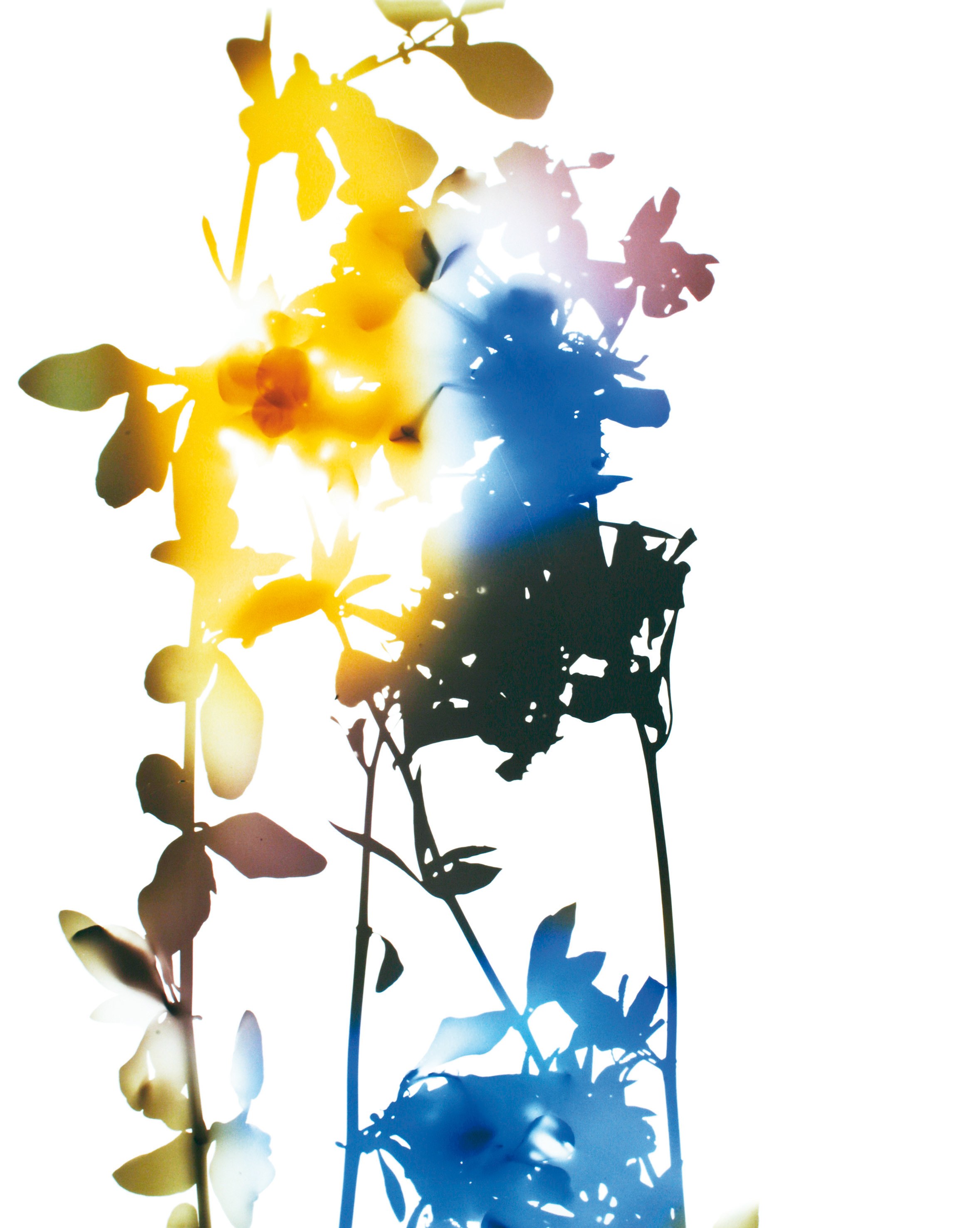 James Welling, Untitled at Studio M, photo 17