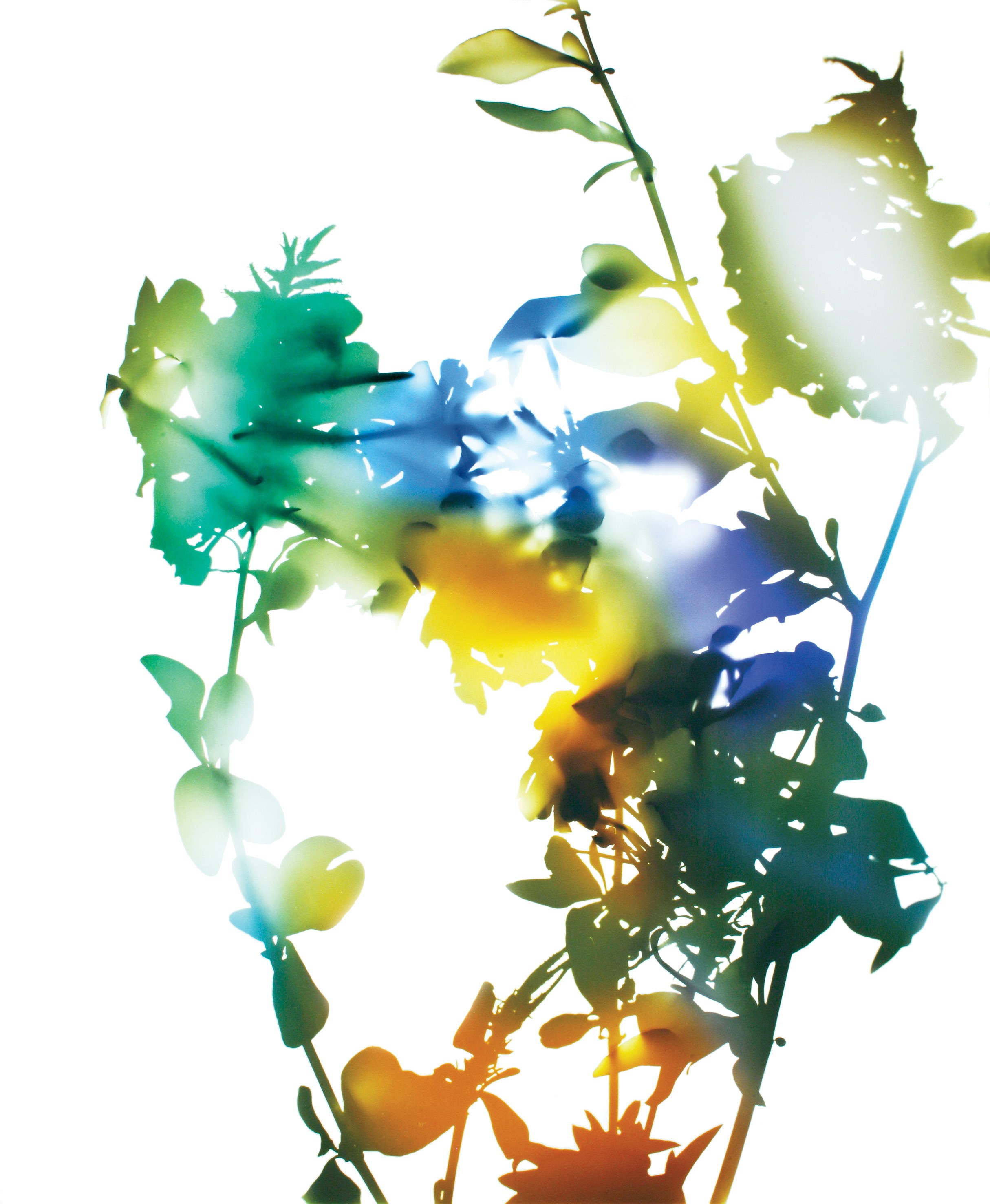 James Welling, Untitled at Studio M, photo 20