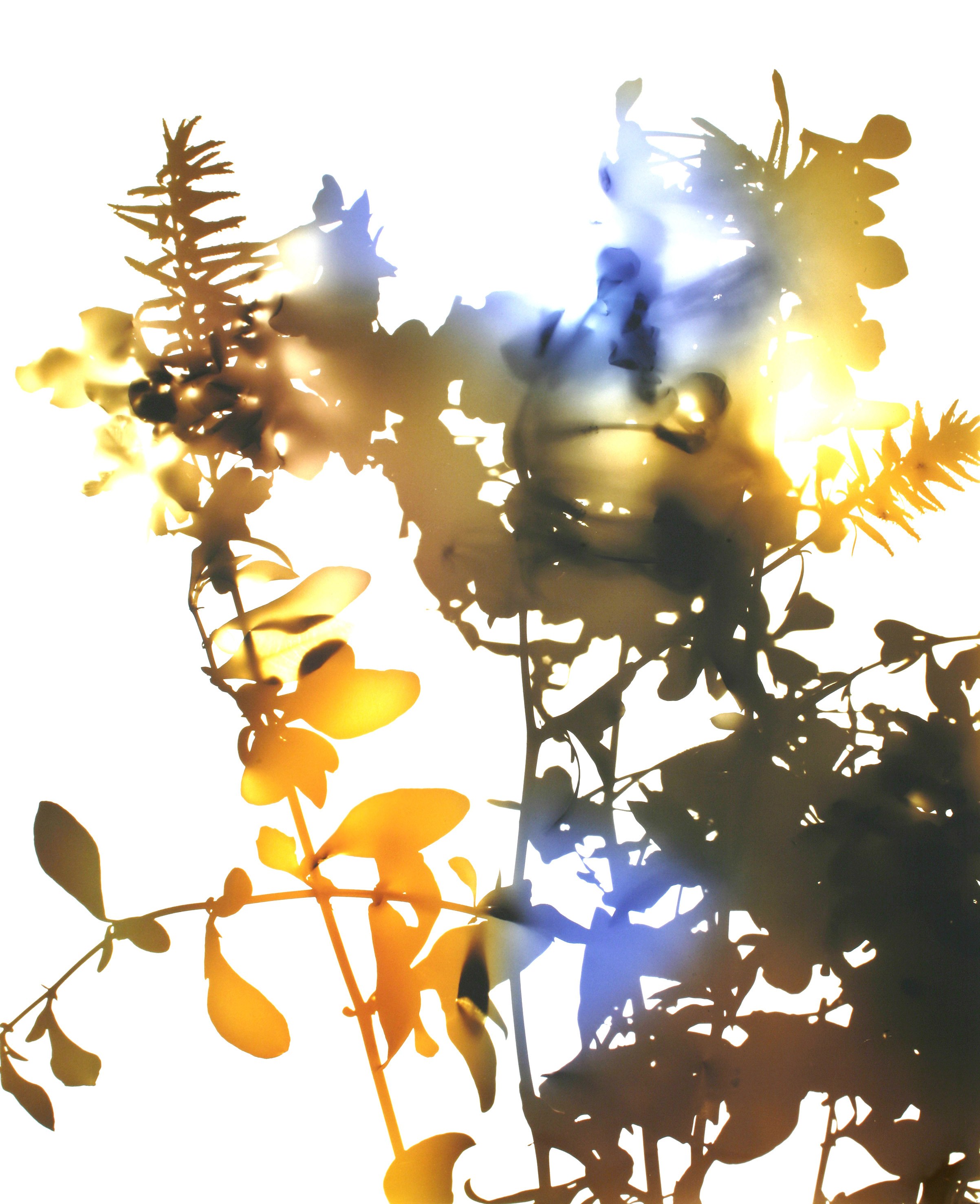 James Welling, Untitled at Studio M, photo 22