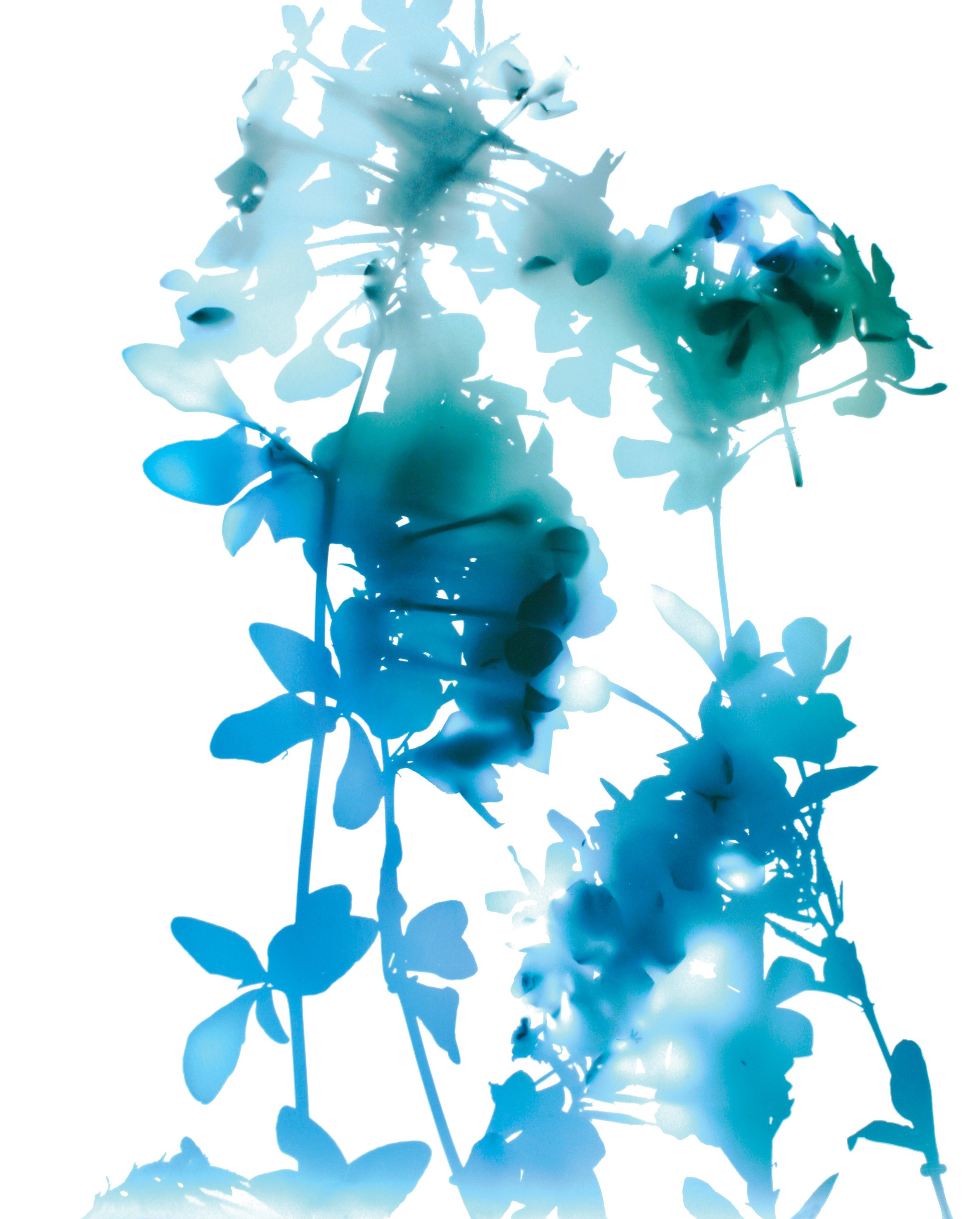 James Welling, Untitled at Studio M, photo 23