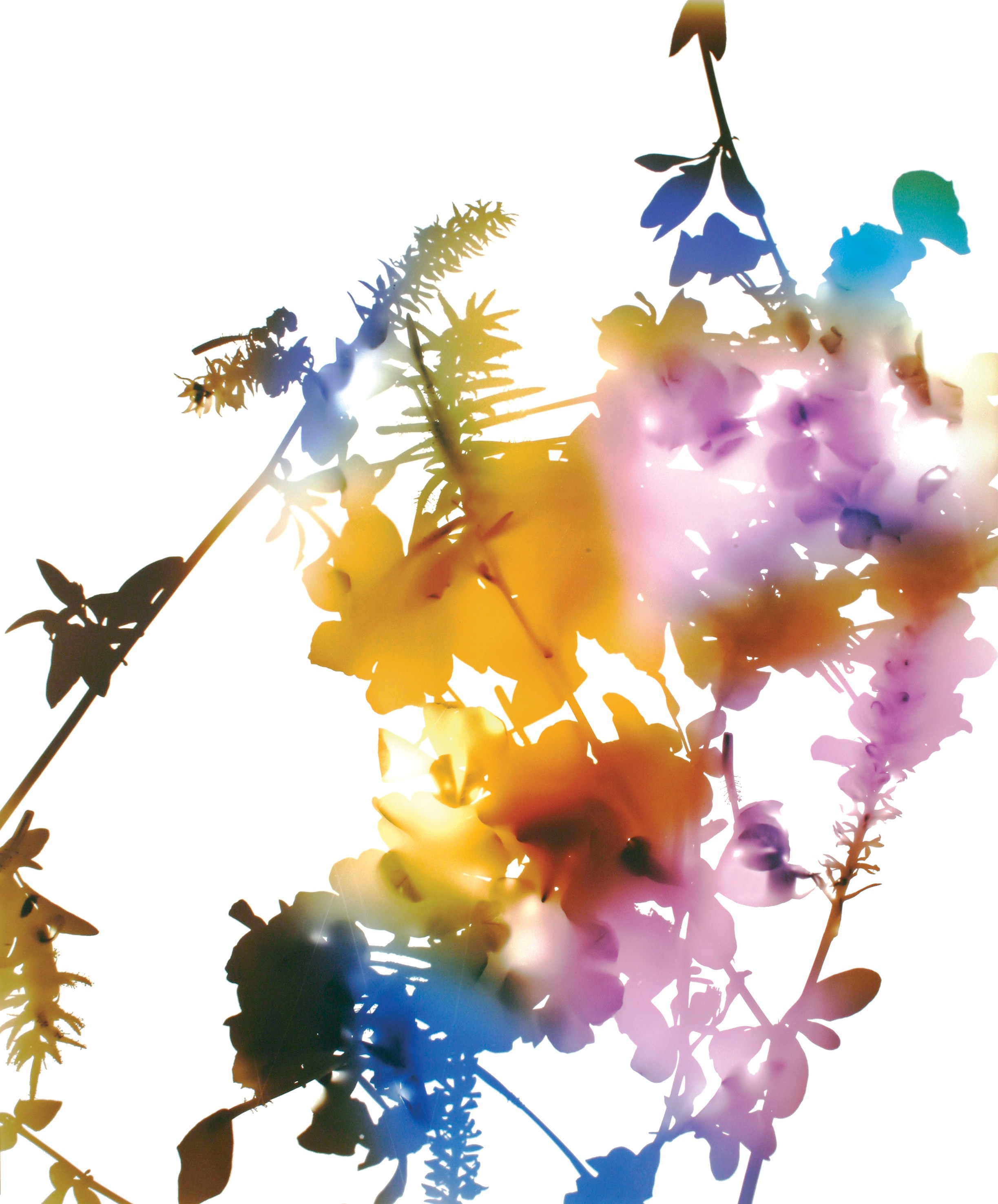 James Welling, Untitled at Studio M, photo 24