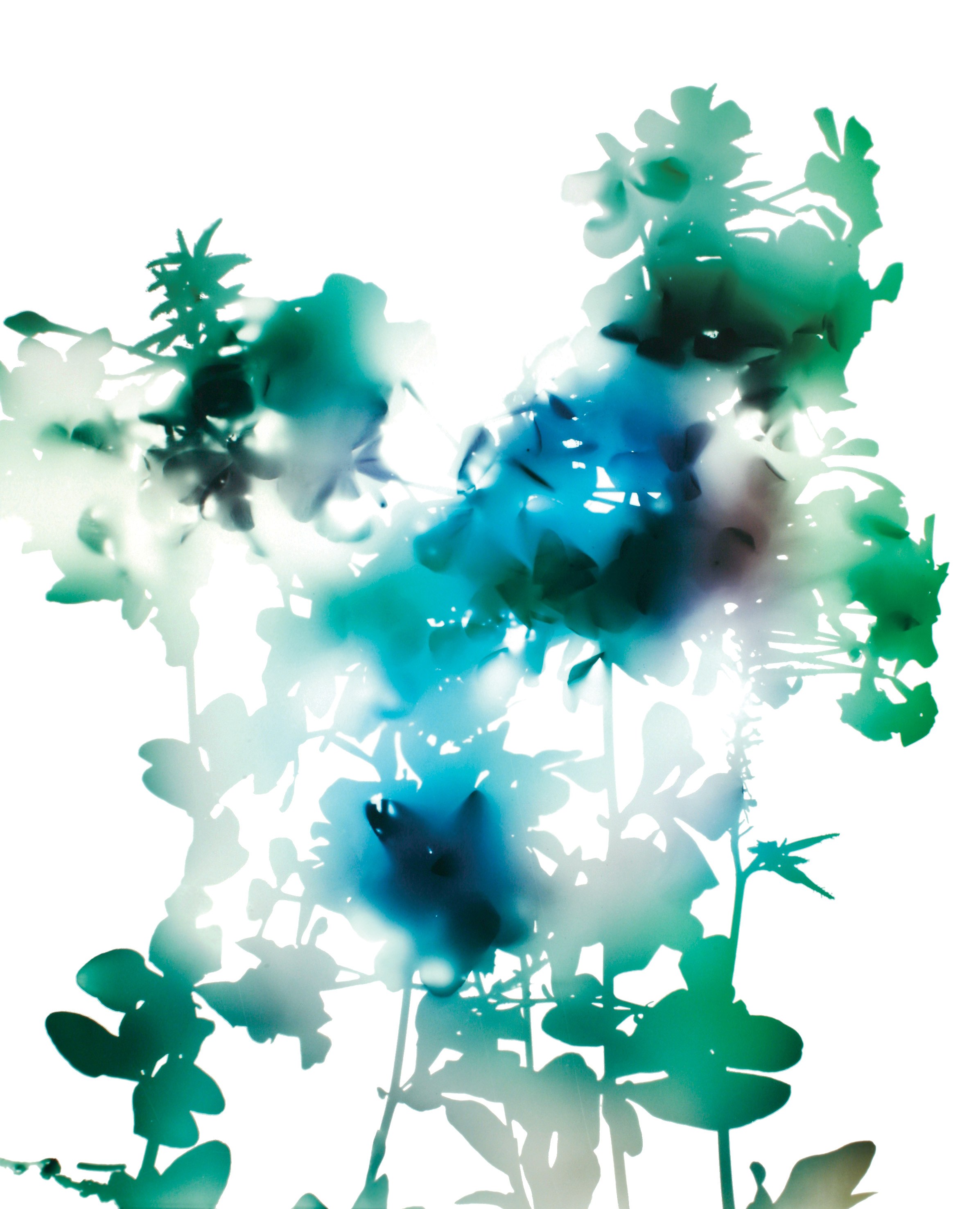 James Welling, Untitled at Studio M, photo 25
