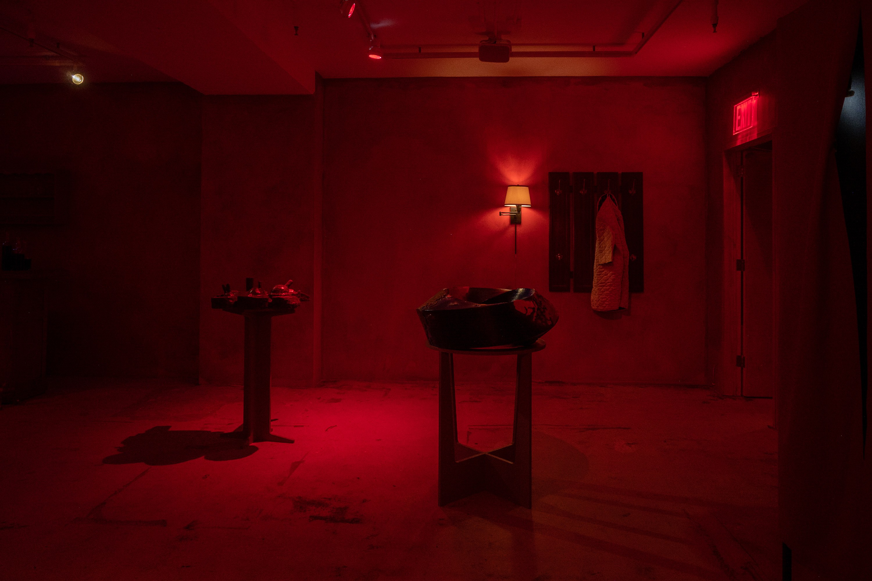 Mathis Gasser, Angharad Williams, Hergest: Trem at Swiss Institute, photo 3