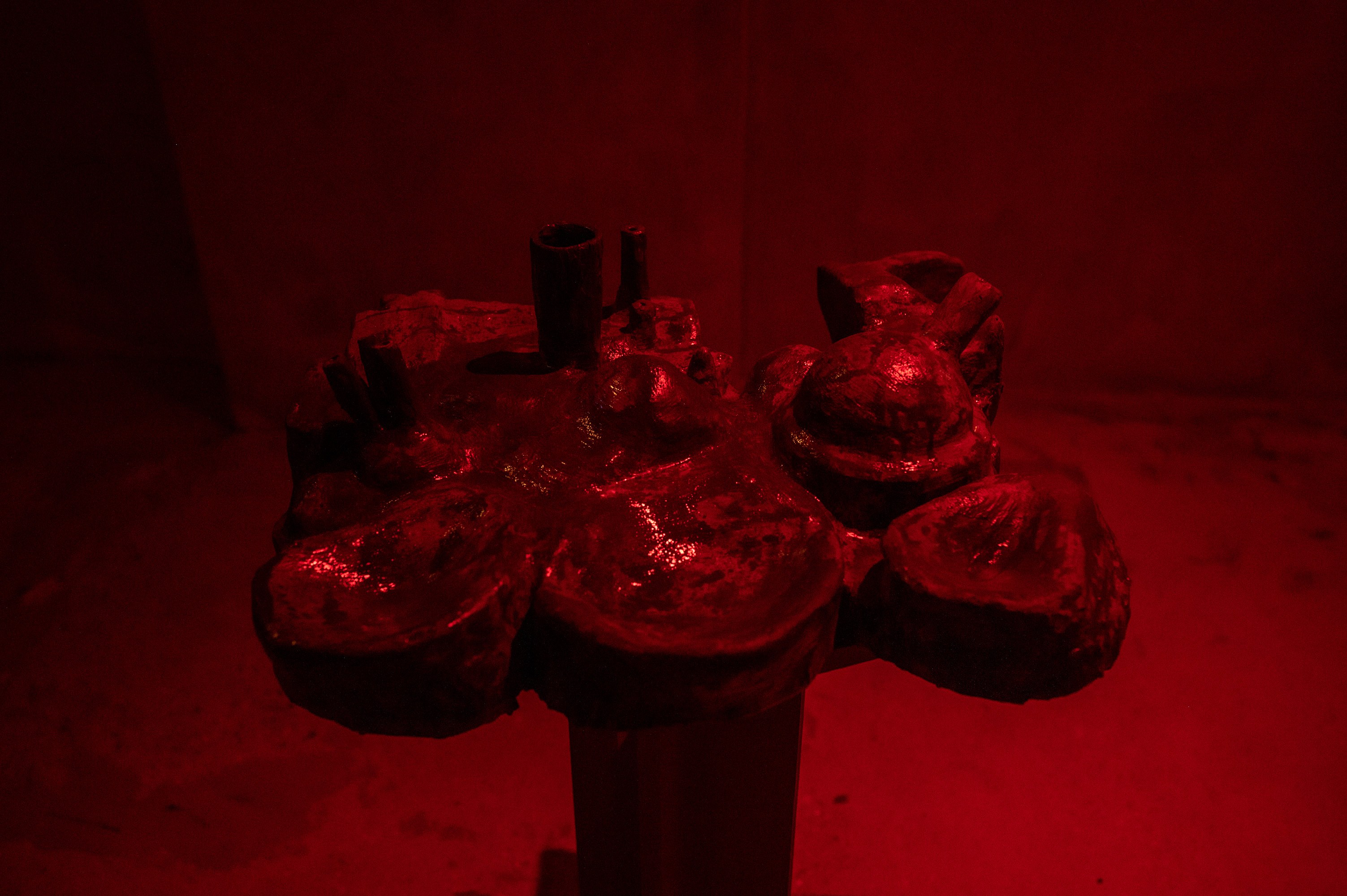 Mathis Gasser, Angharad Williams, Hergest: Trem at Swiss Institute, photo 5