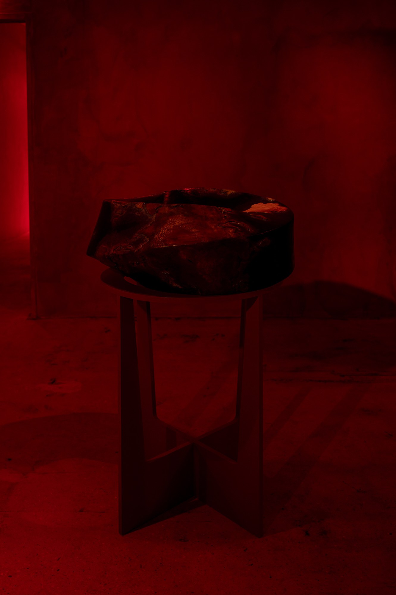 Mathis Gasser, Angharad Williams, Hergest: Trem at Swiss Institute, photo 6