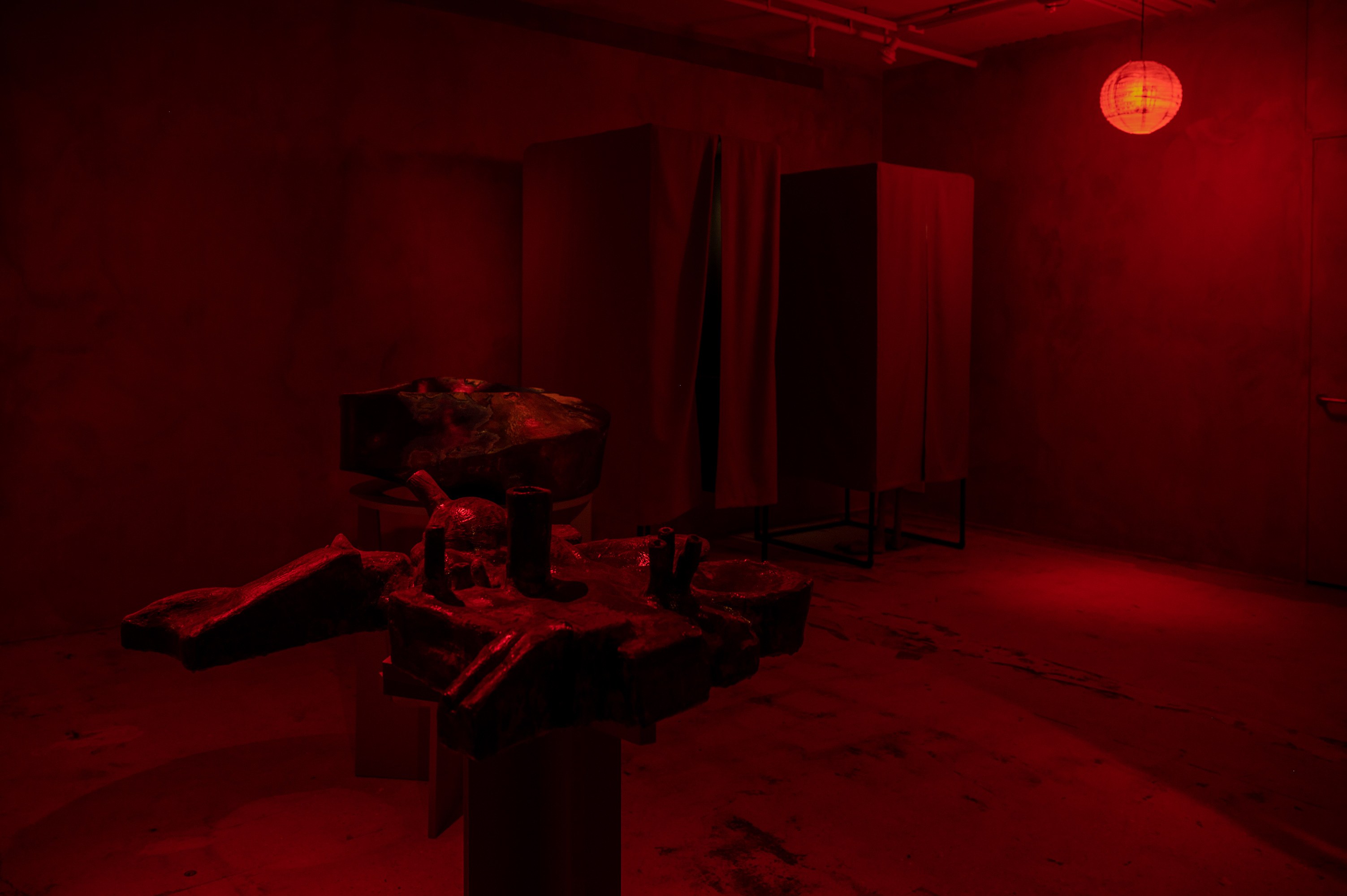 Mathis Gasser, Angharad Williams, Hergest: Trem at Swiss Institute, photo 8