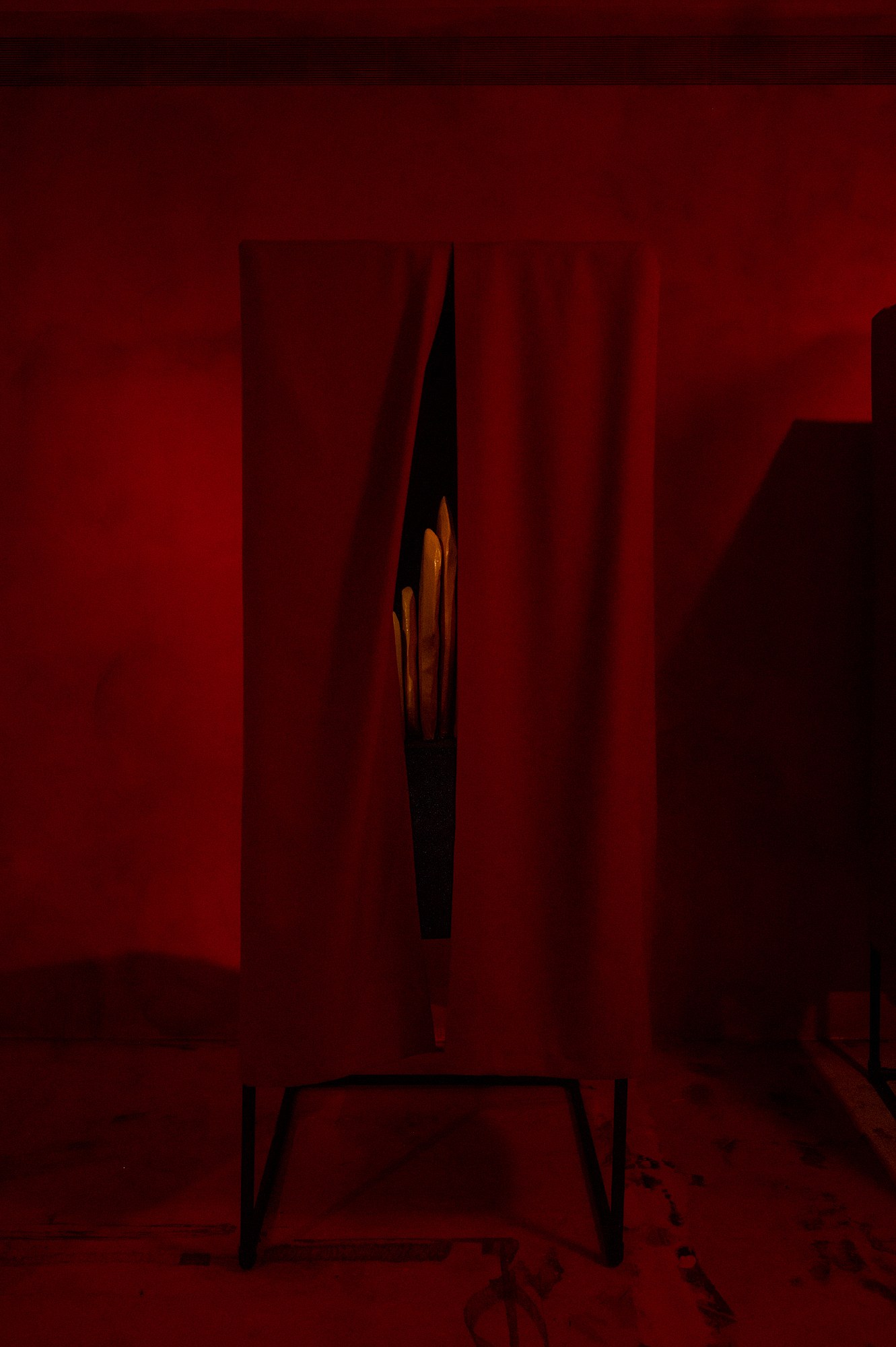 Mathis Gasser, Angharad Williams, Hergest: Trem at Swiss Institute, photo 9
