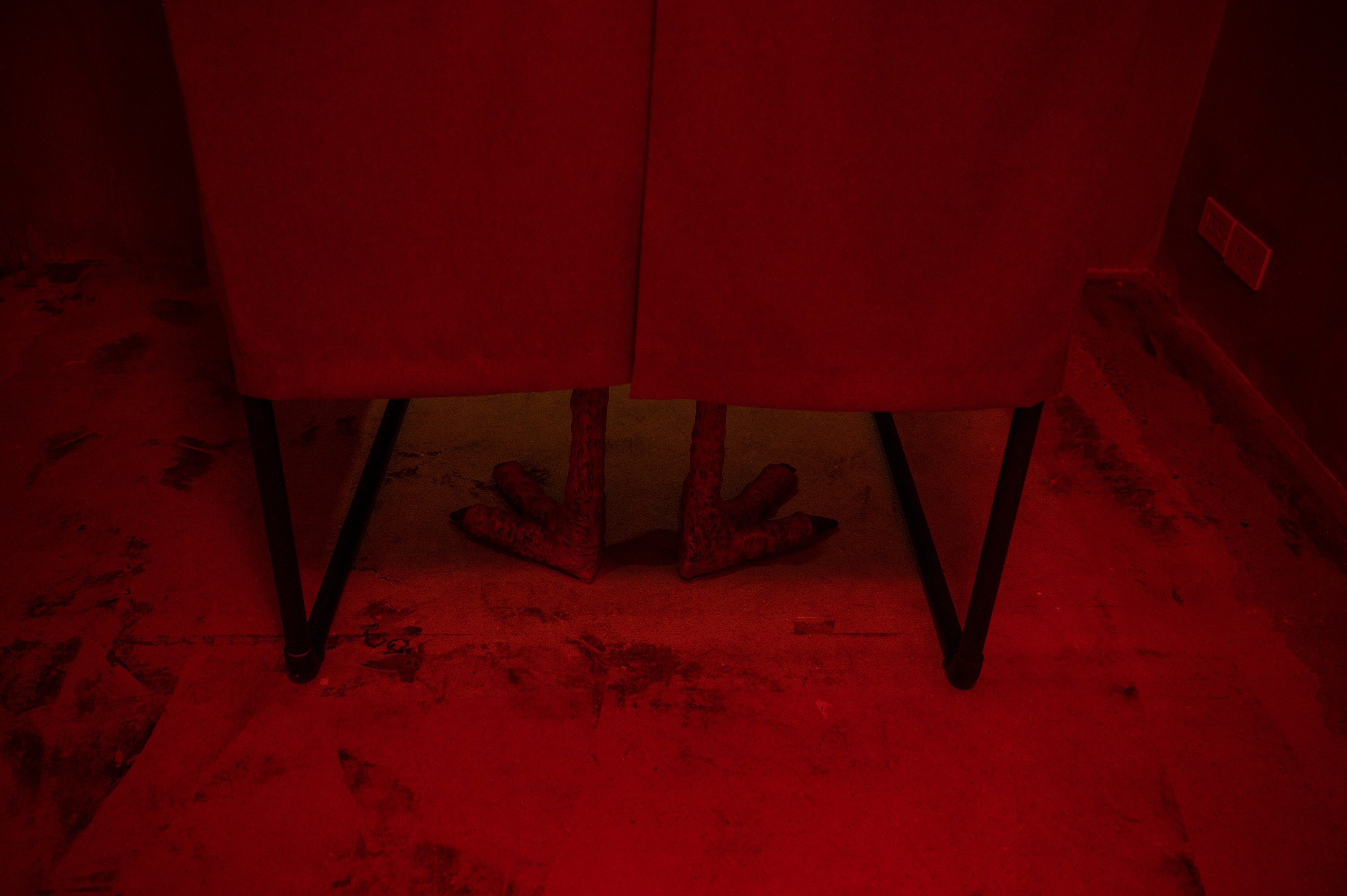 Mathis Gasser, Angharad Williams, Hergest: Trem at Swiss Institute, photo 11
