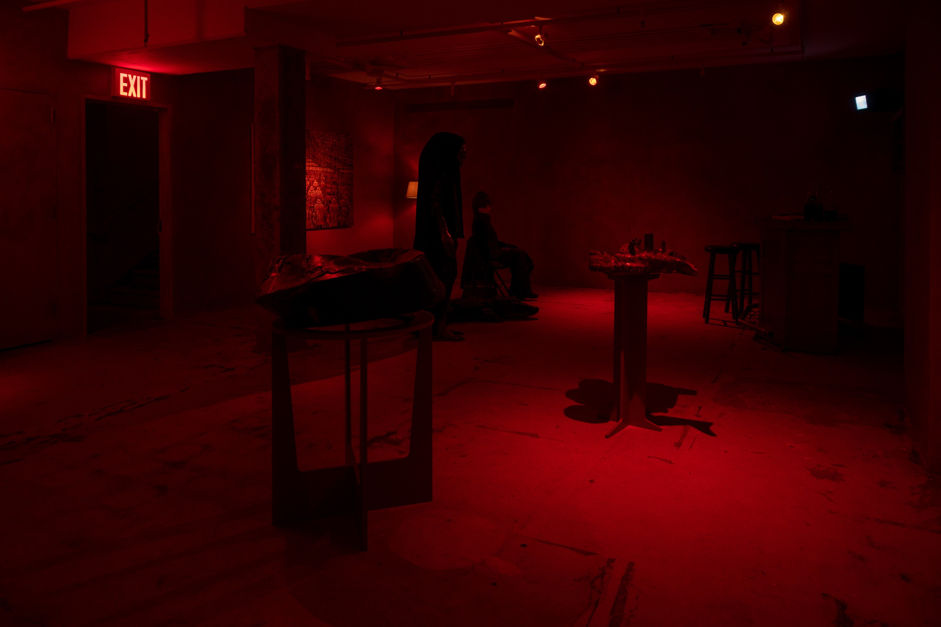 Mathis Gasser, Angharad Williams, Hergest: Trem at Swiss Institute, photo 12