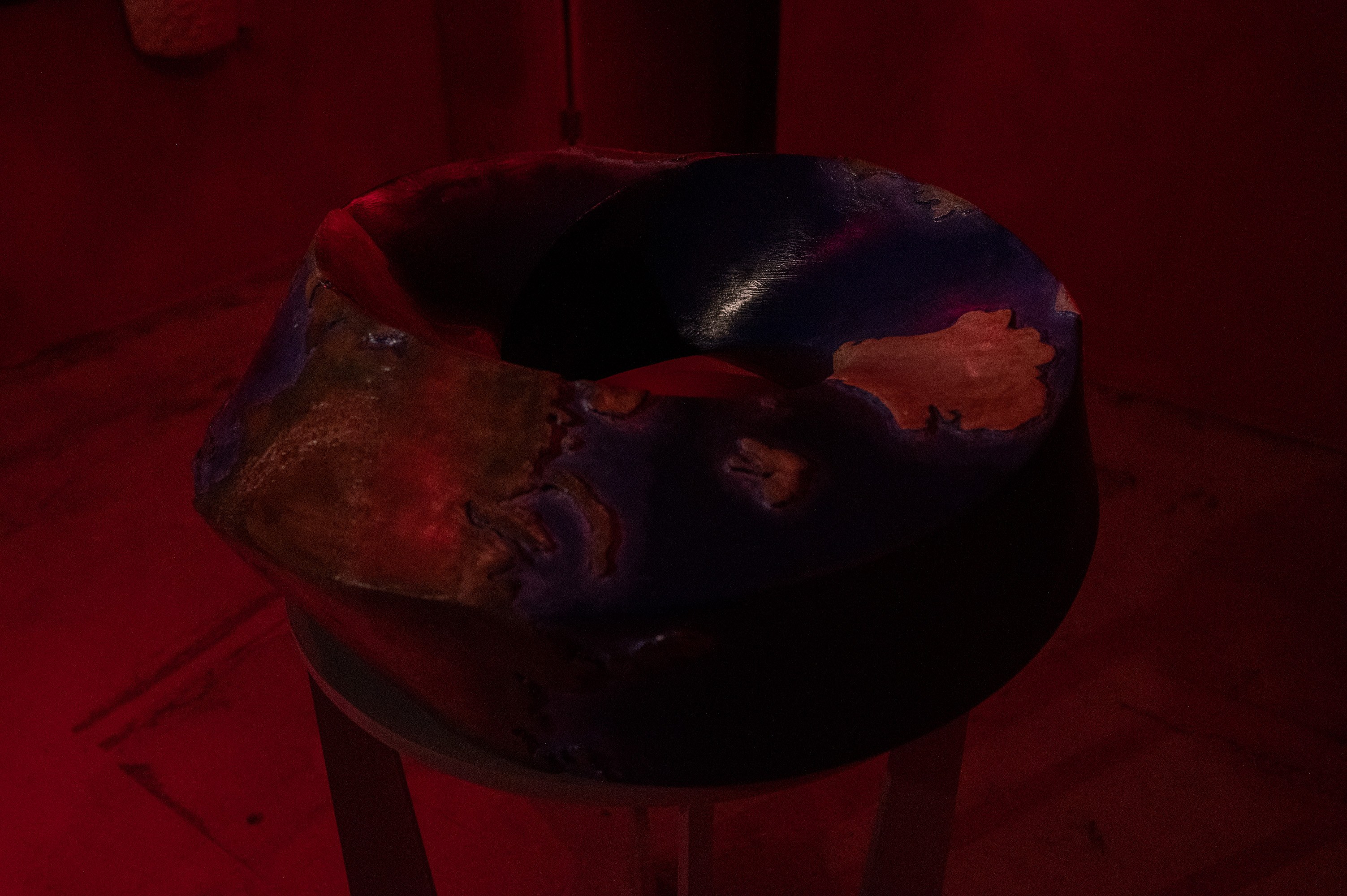 Mathis Gasser, Angharad Williams, Hergest: Trem at Swiss Institute, photo 7