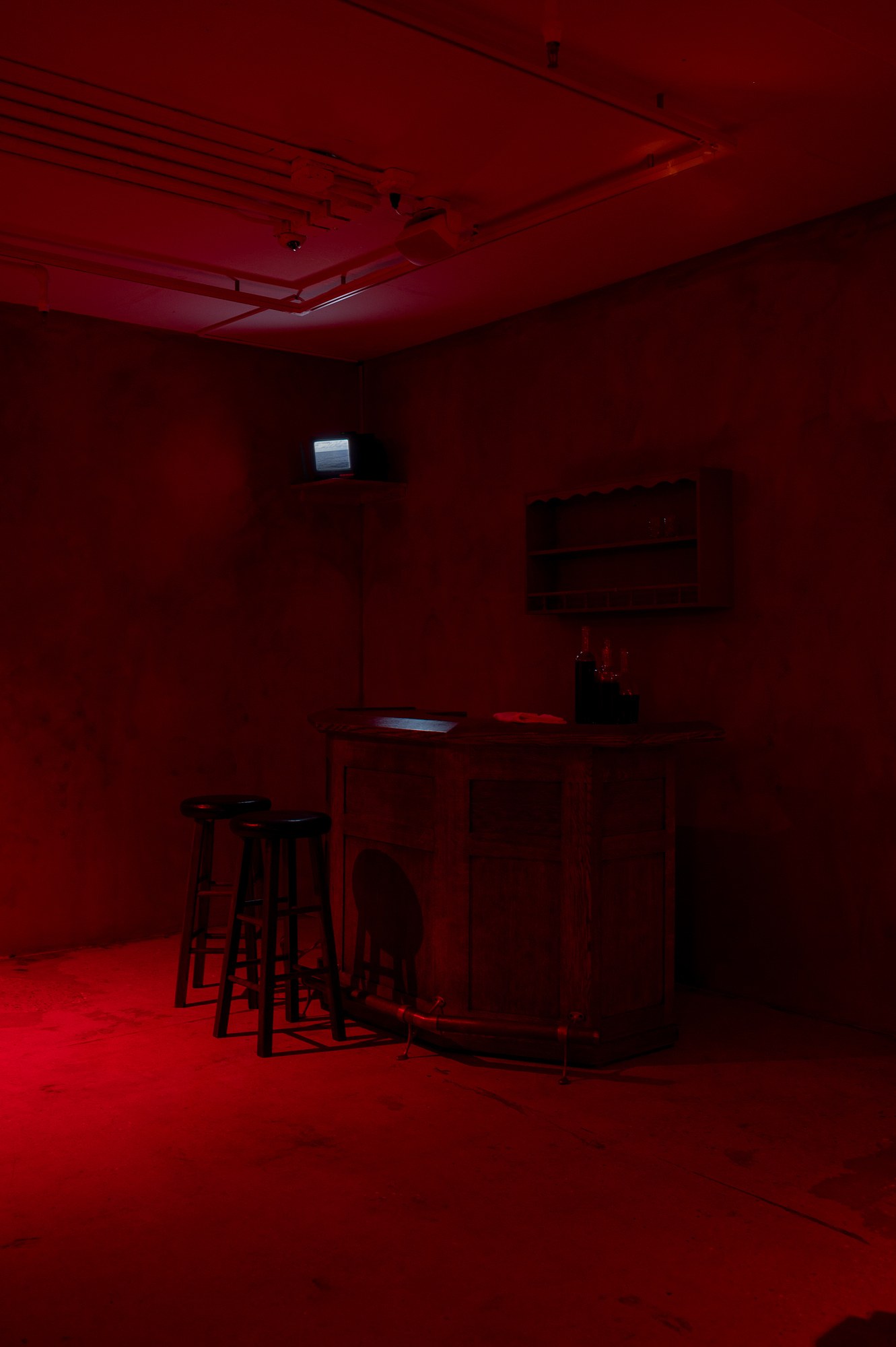 Mathis Gasser, Angharad Williams, Hergest: Trem at Swiss Institute, photo 13