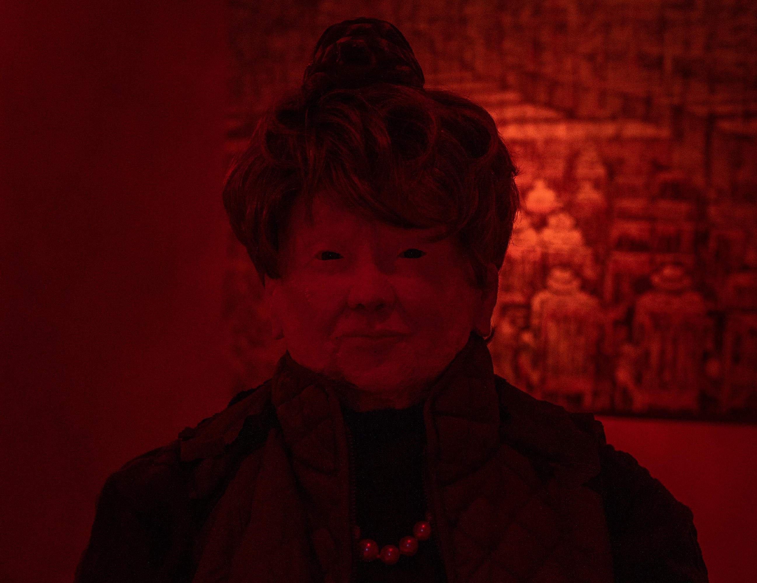 Mathis Gasser, Angharad Williams, Hergest: Trem at Swiss Institute, photo 17