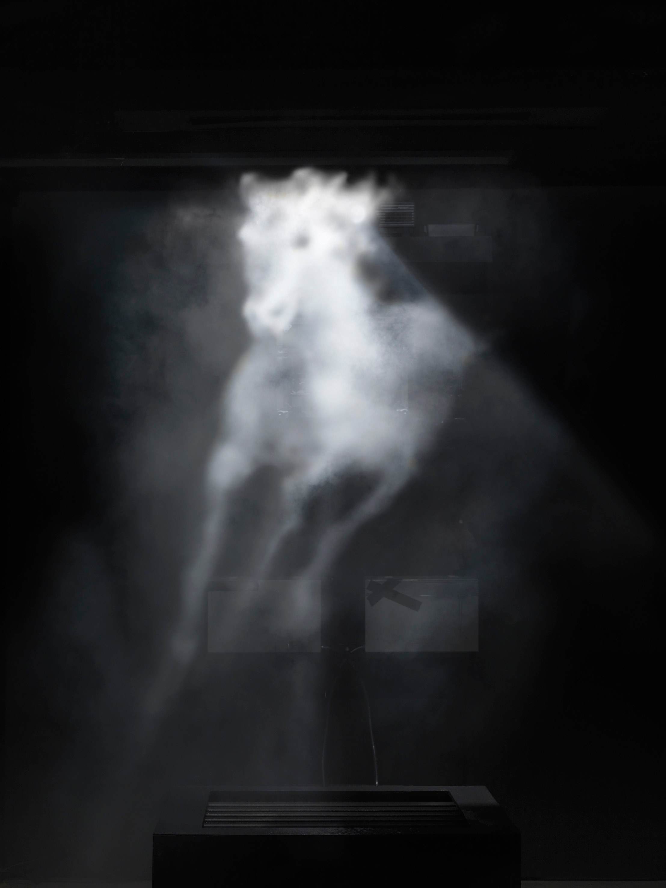 Banks Violette, Untitled at Studio M, photo 6