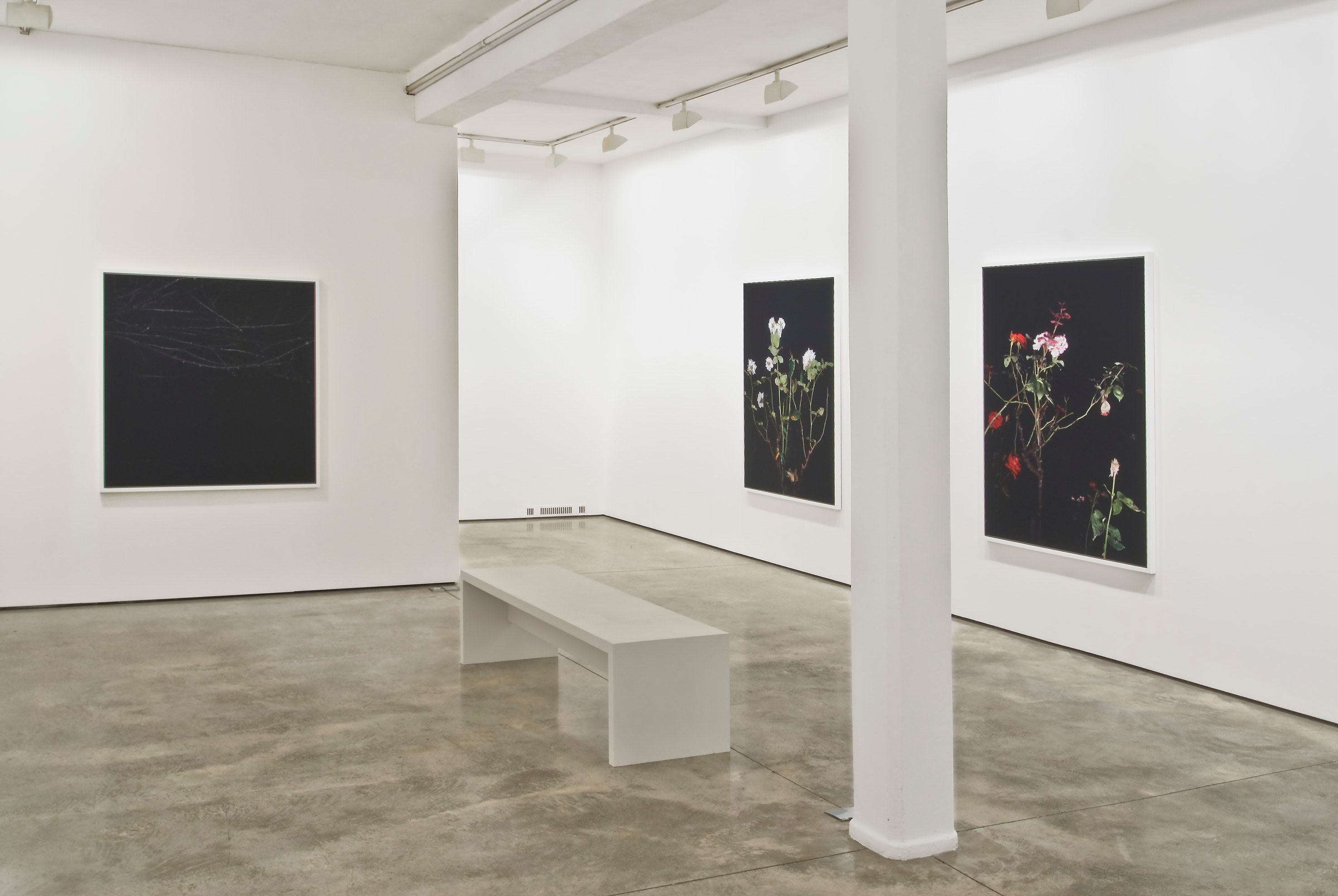 Sarah Jones, Untitled at Studio M, photo 4
