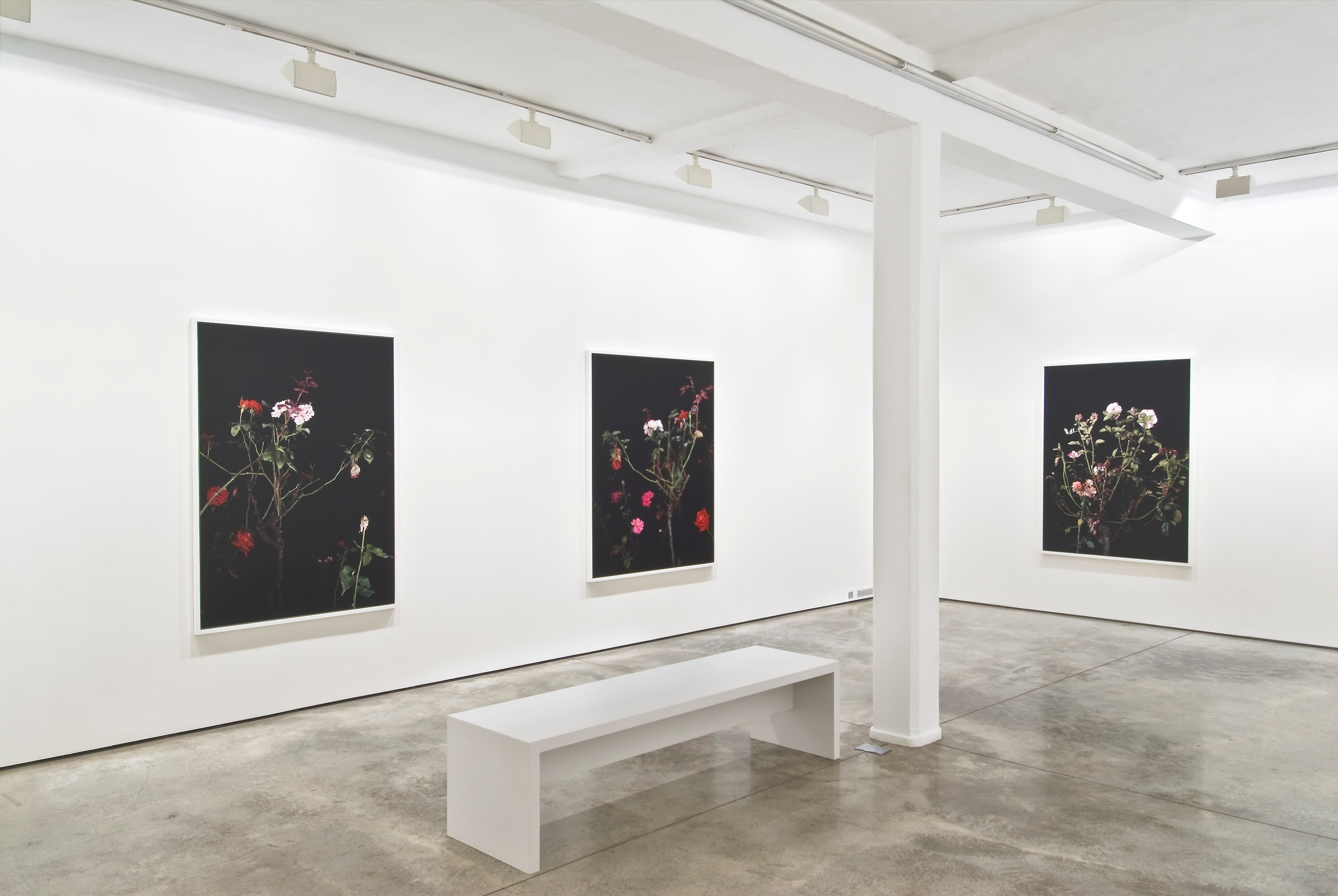 Sarah Jones, Untitled at Studio M, photo 7