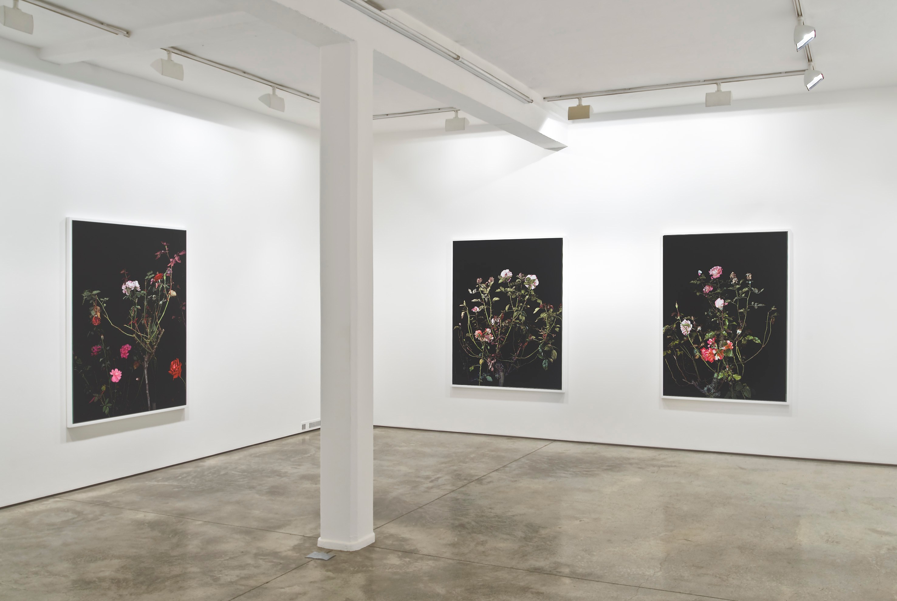 Sarah Jones, Untitled at Studio M, photo 9