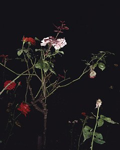 Sarah Jones, Untitled at Studio M, photo 8