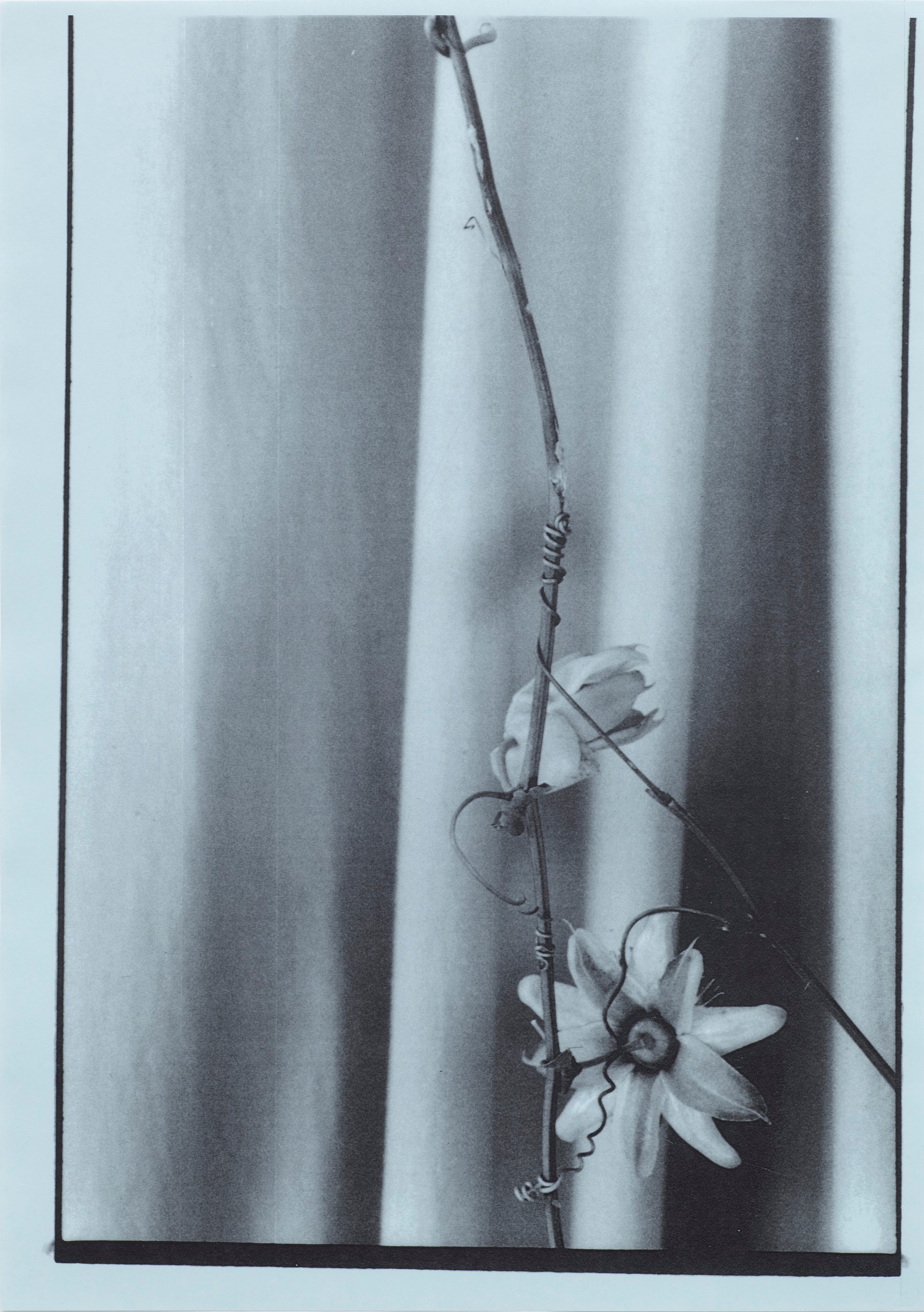 Dirk Stewen, Untitled at Studio M, photo 10