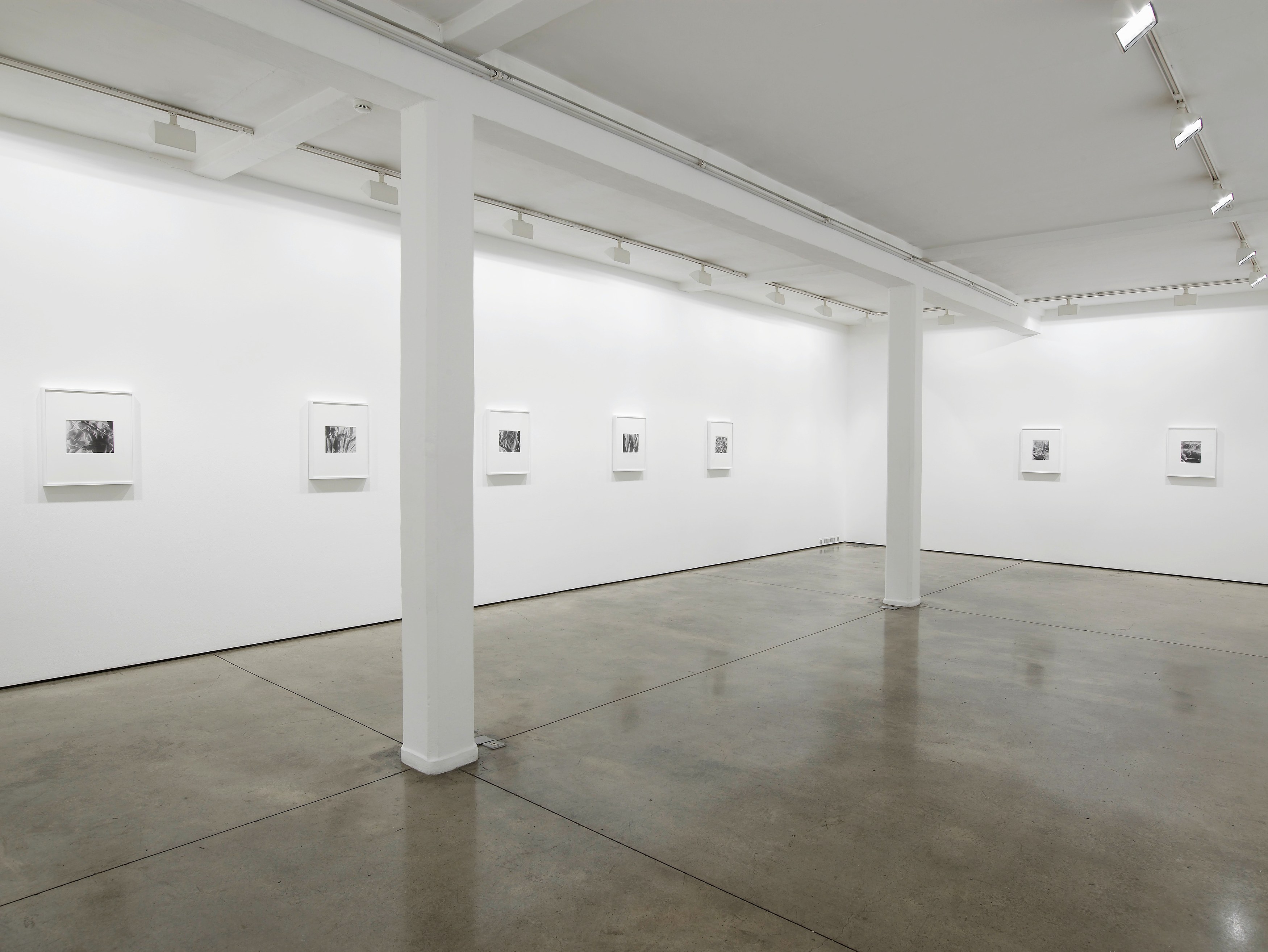 James Welling, Untitled at Studio M, photo 2
