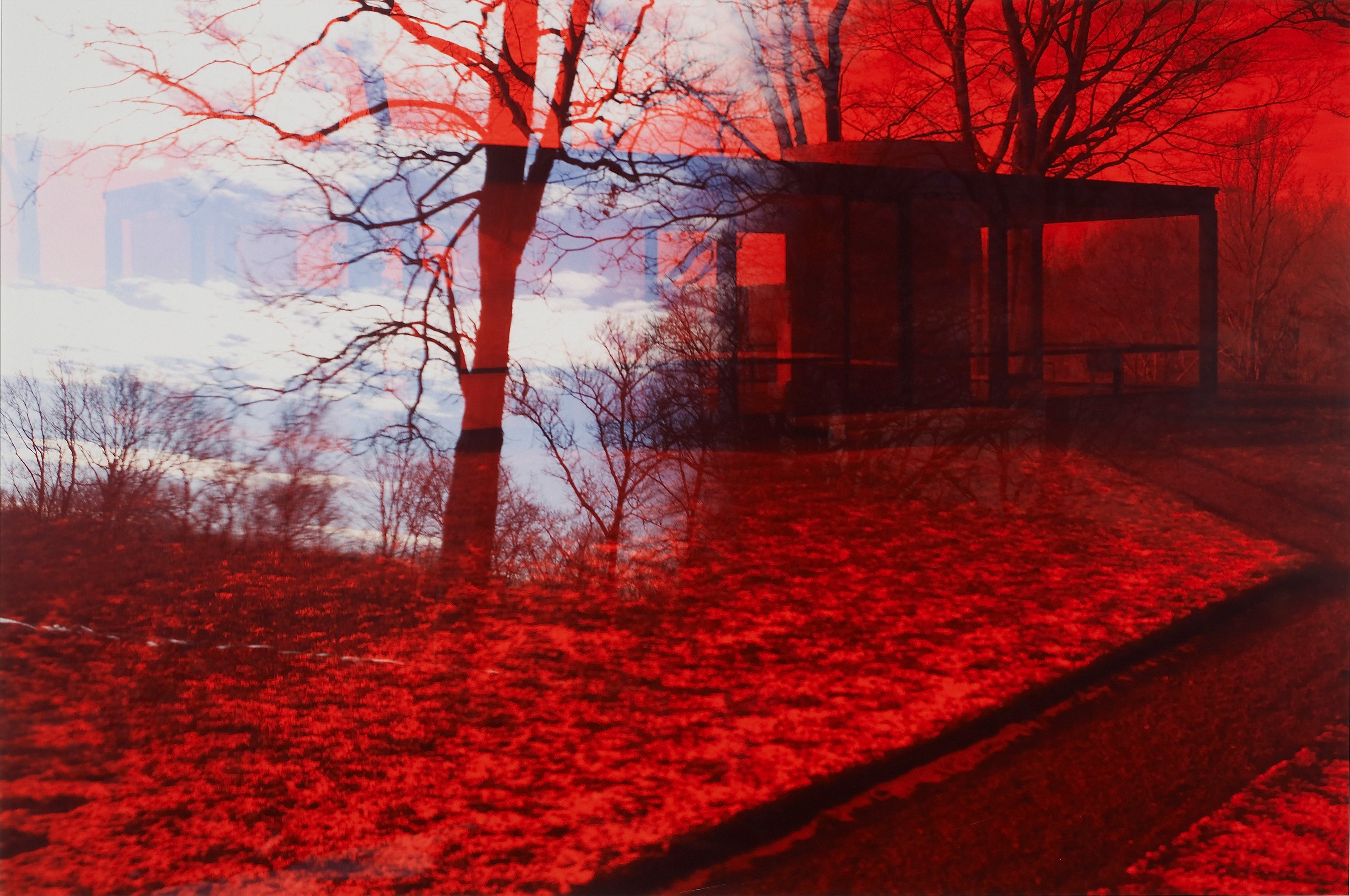 James Welling, Untitled at Studio M, photo 7