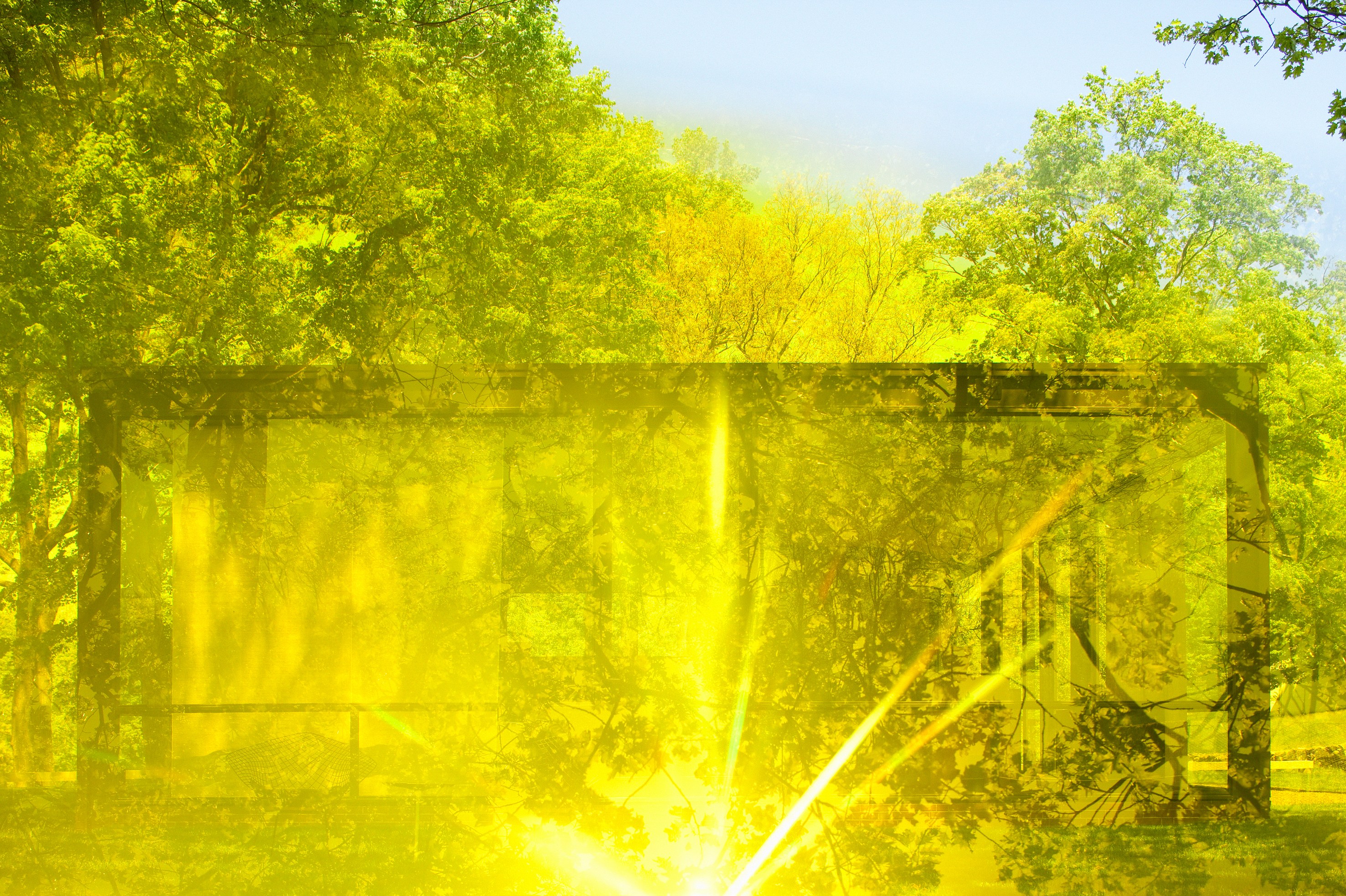 James Welling, Untitled at Studio M, photo 11