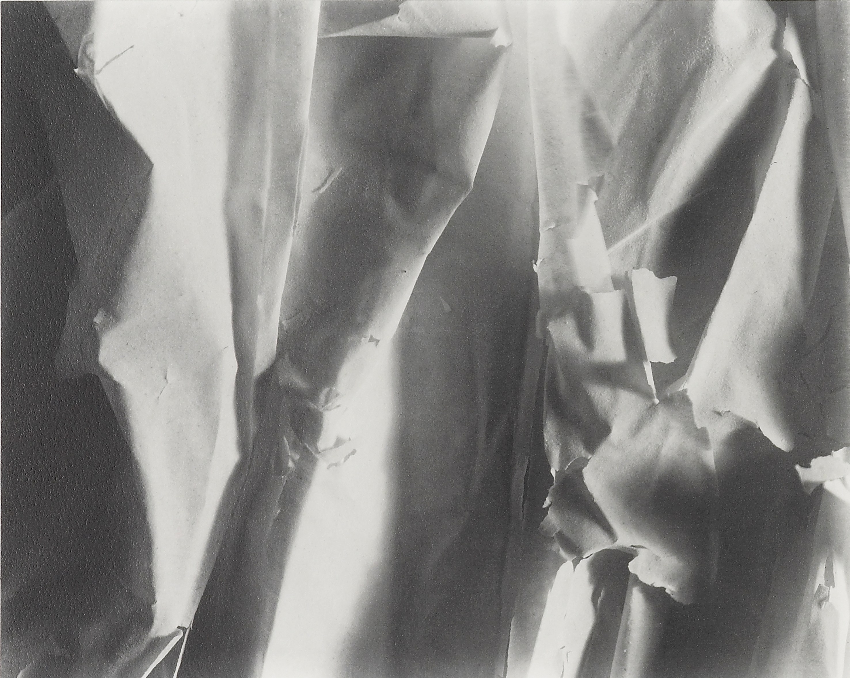 James Welling, Untitled at Studio M, photo 19