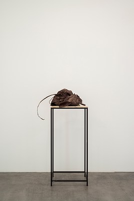 Image 16 of 20