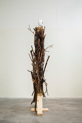 Image 17 of 20