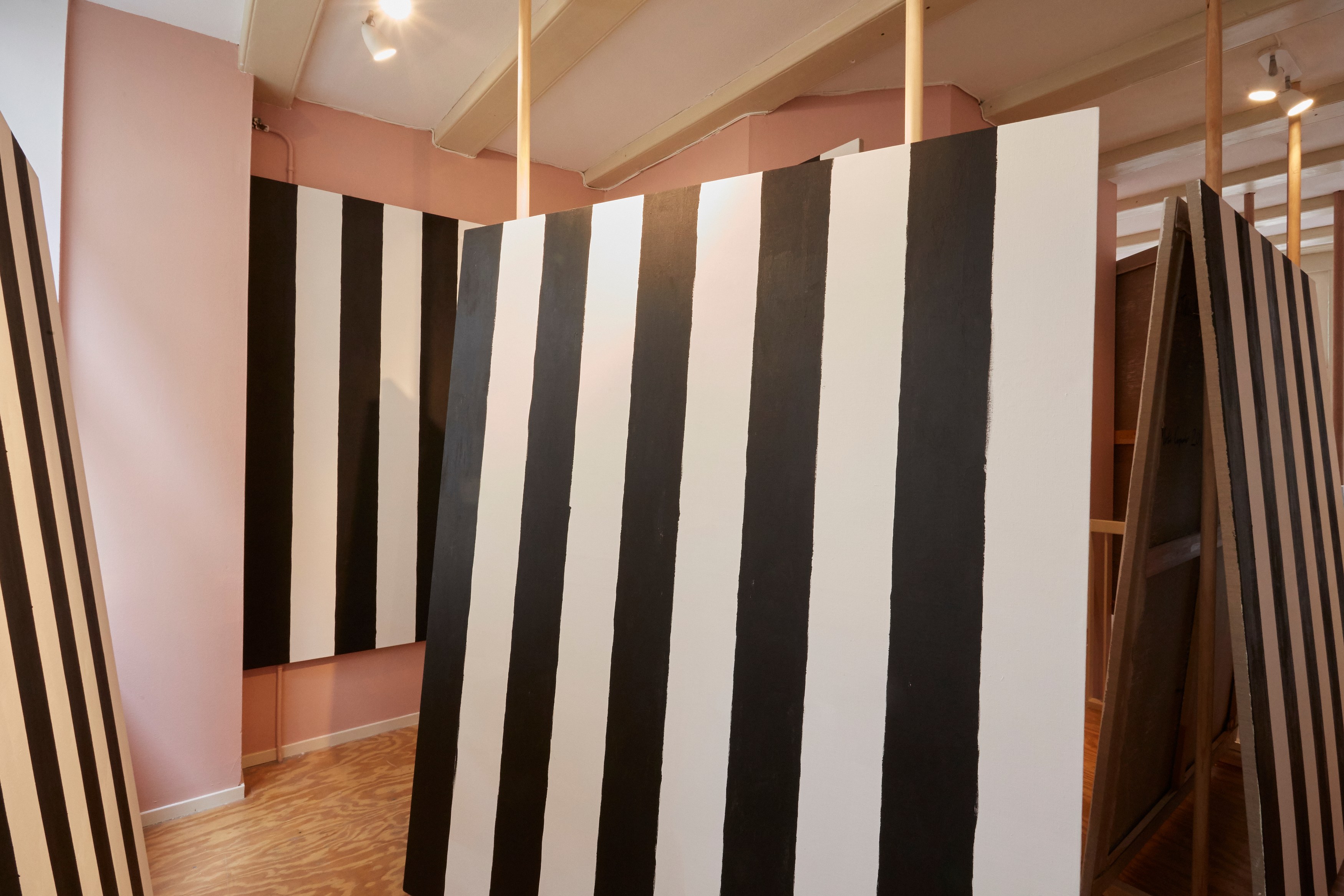 Merlin Carpenter, De Streepschilderijen at Overduin and Kite, photo 19