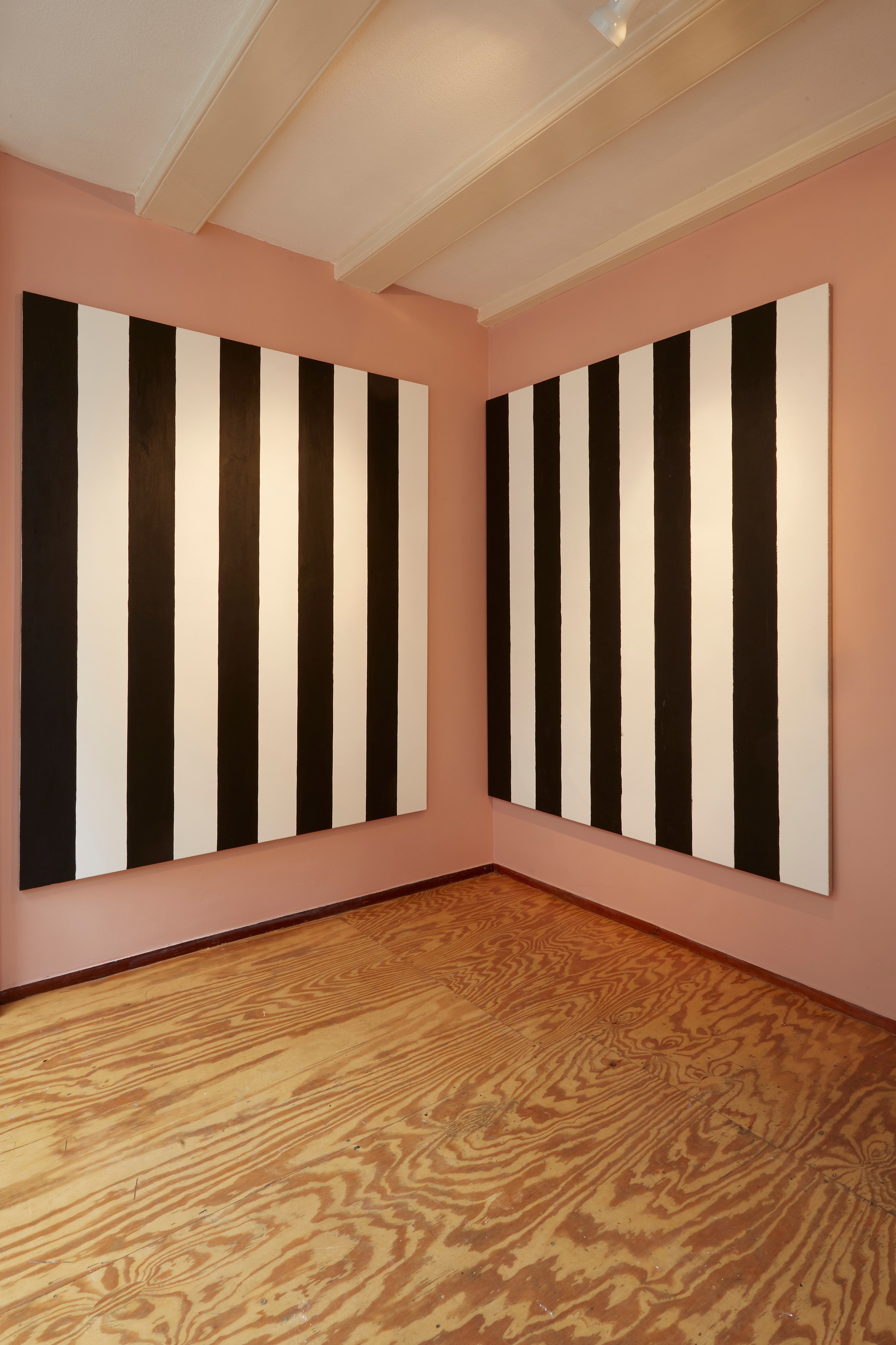 Merlin Carpenter, De Streepschilderijen at Overduin and Kite, photo 26